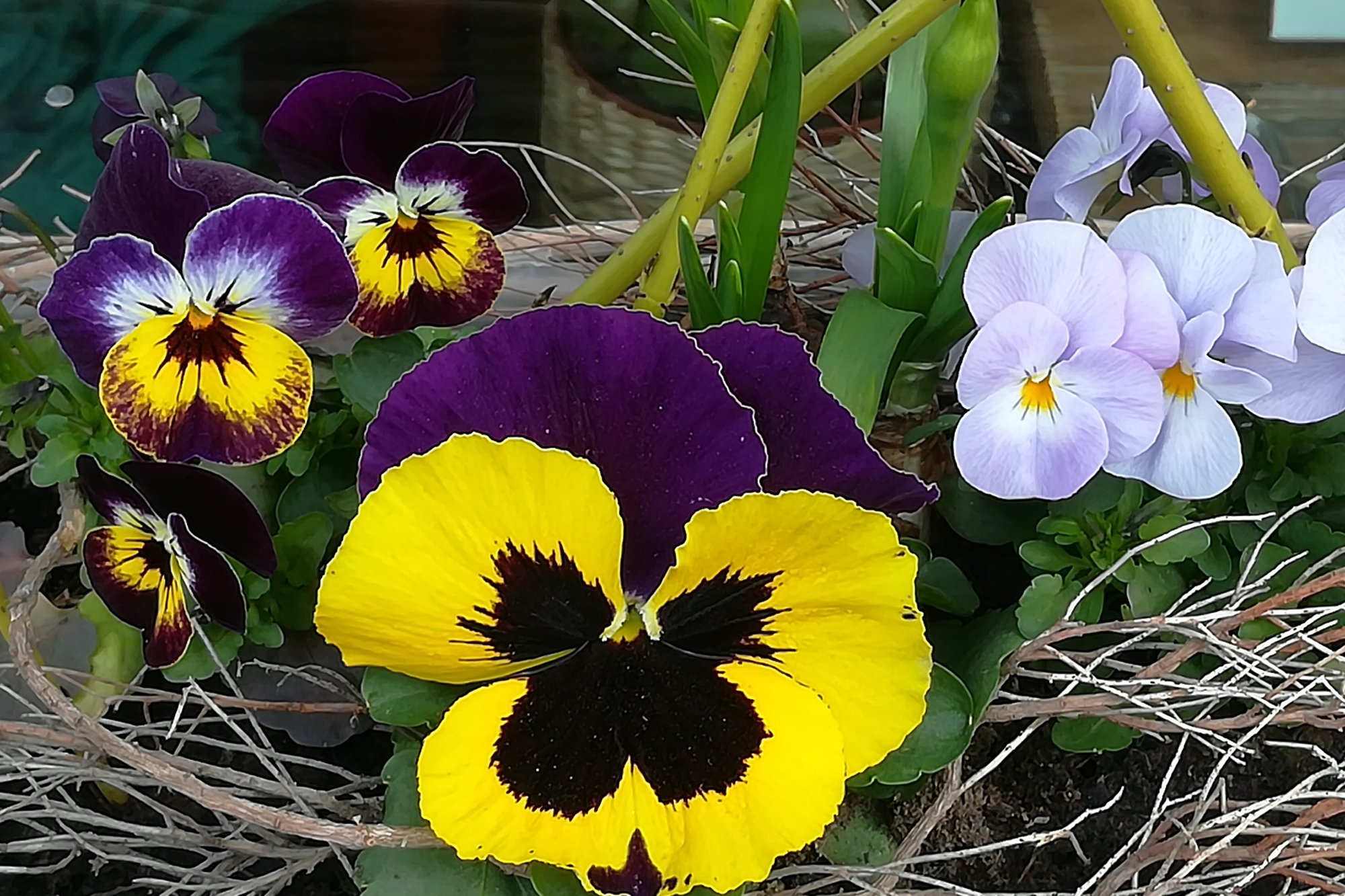 Selbstbedienungsecke OFFEN!