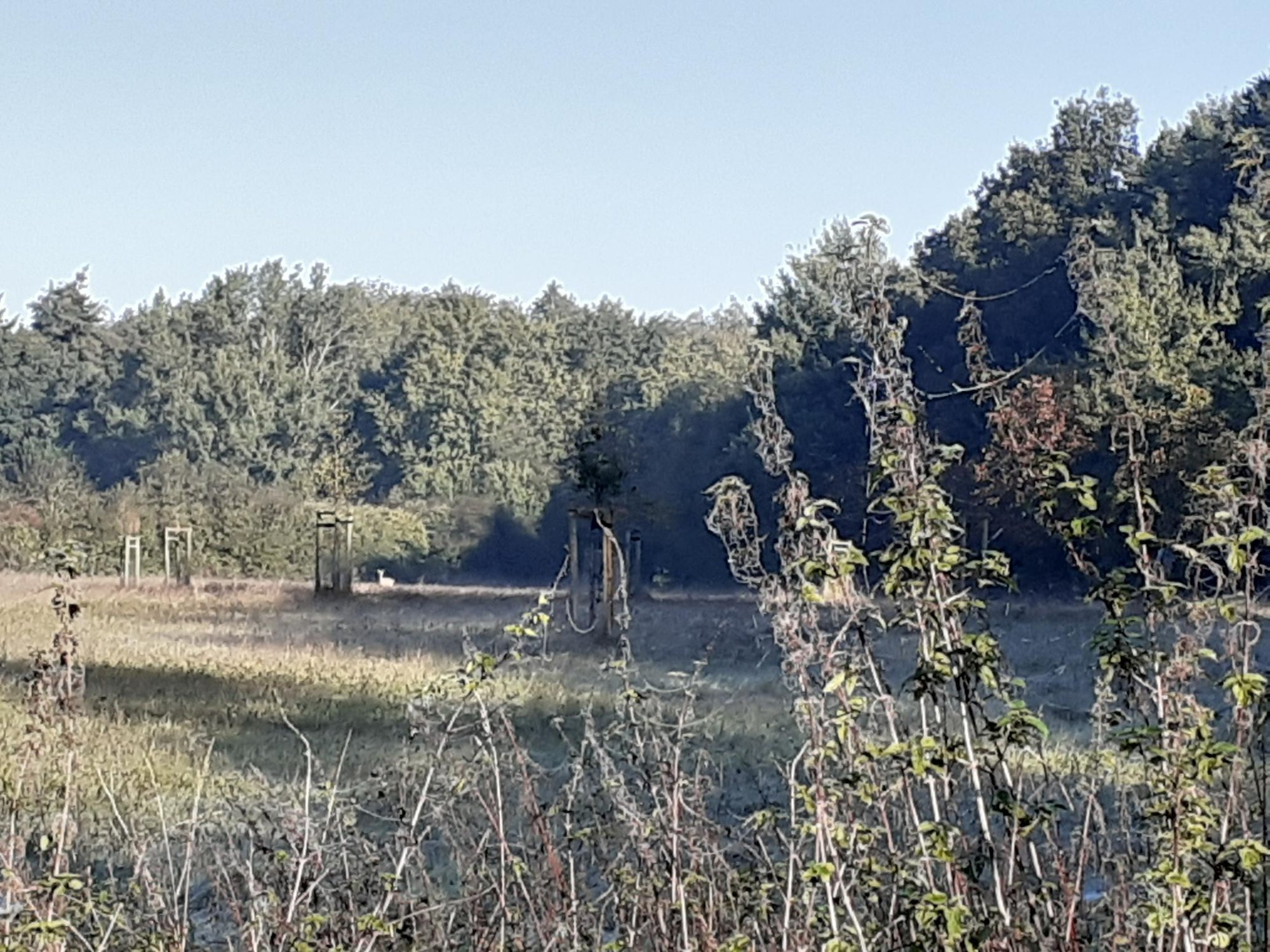 Herbstarbeiten auf den Feldern