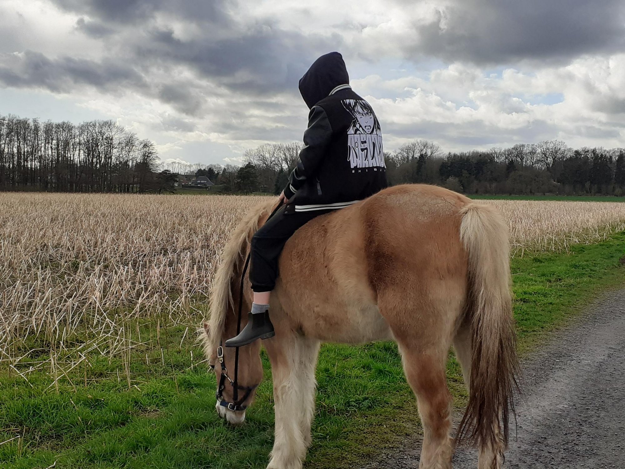 Gegen Handys ist schwer anzukommen