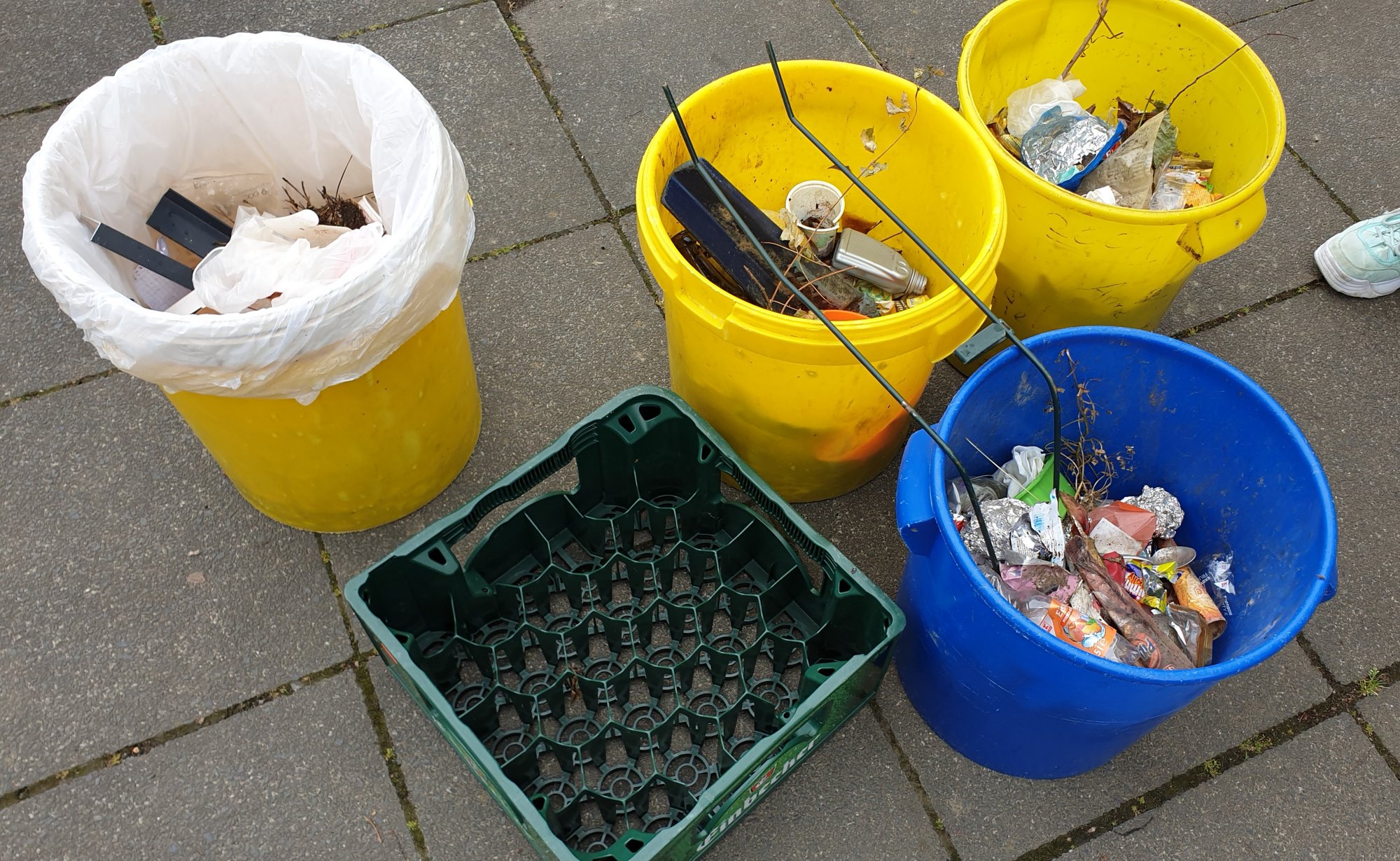 Die Klasse 6a berichtet über Umweltschutz und ihre Müllsammelaktion