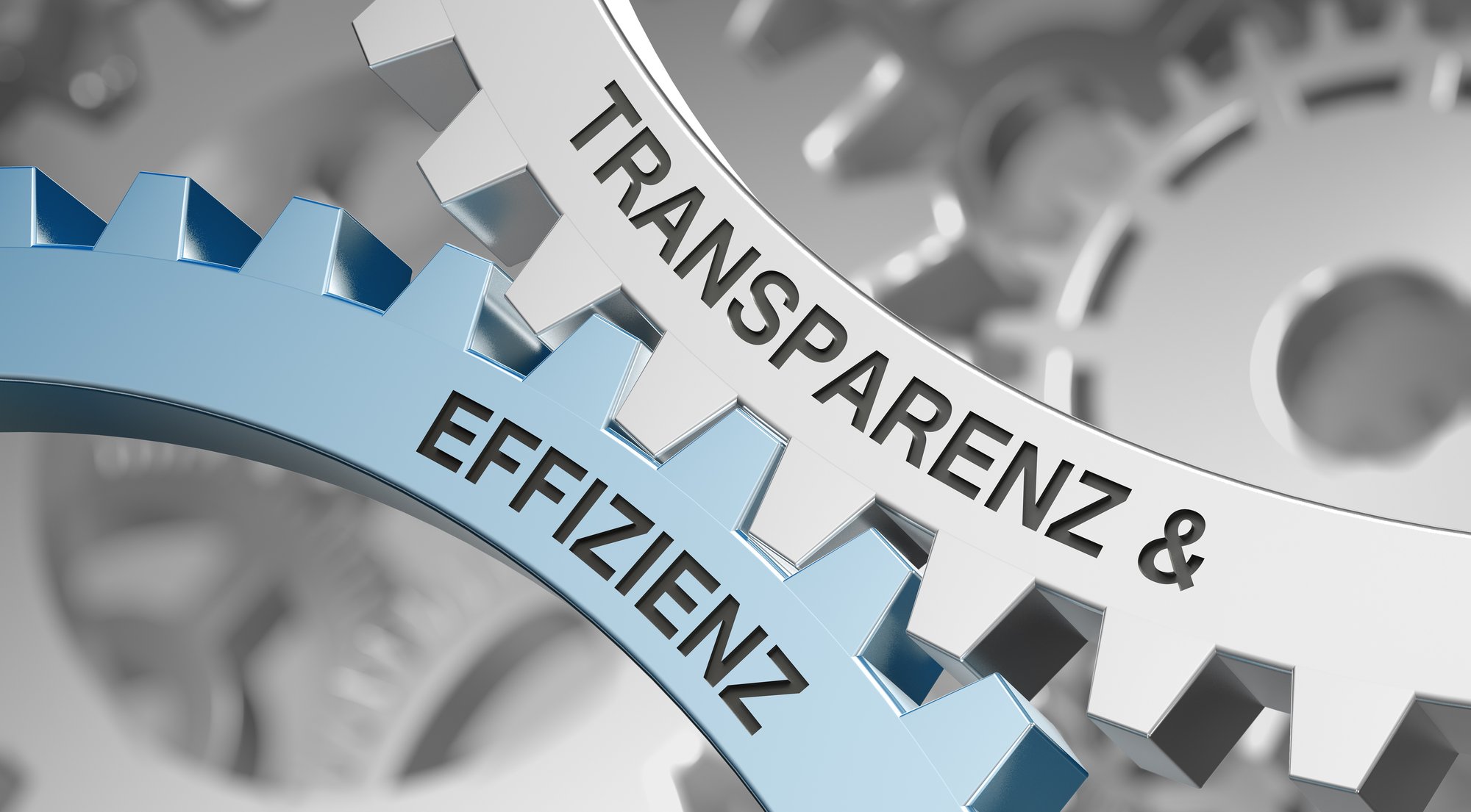 Parlament zwingt Stadtrat zu mehr Transparenz und Effizienz in der Verwaltung