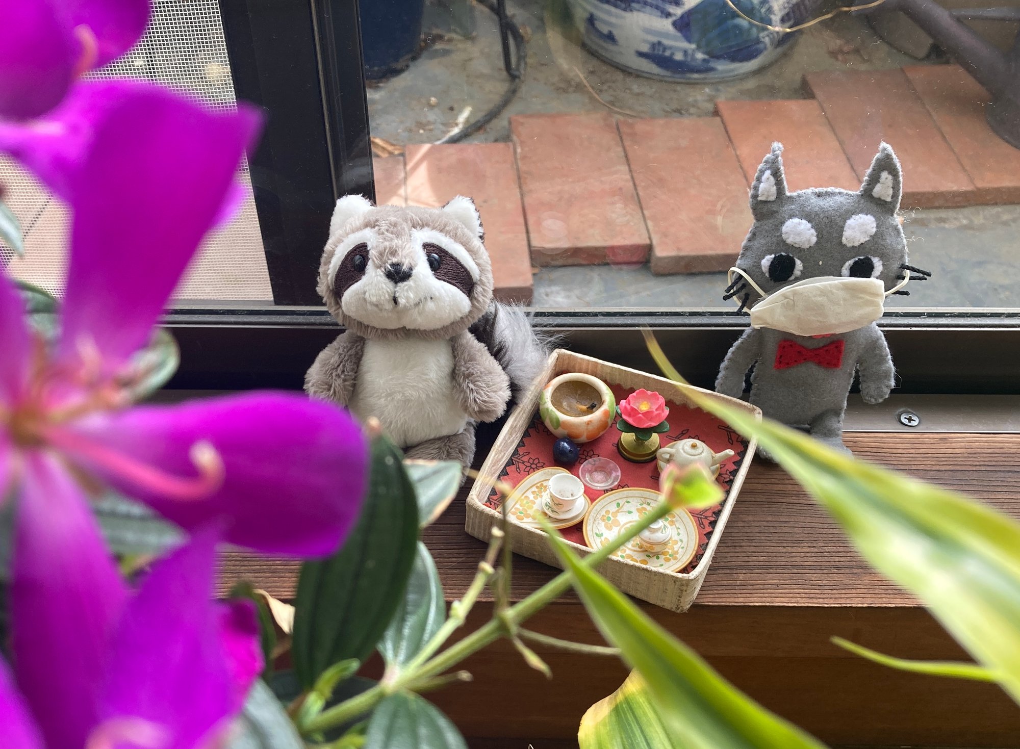 Ｑ.不安が不安なので不安です