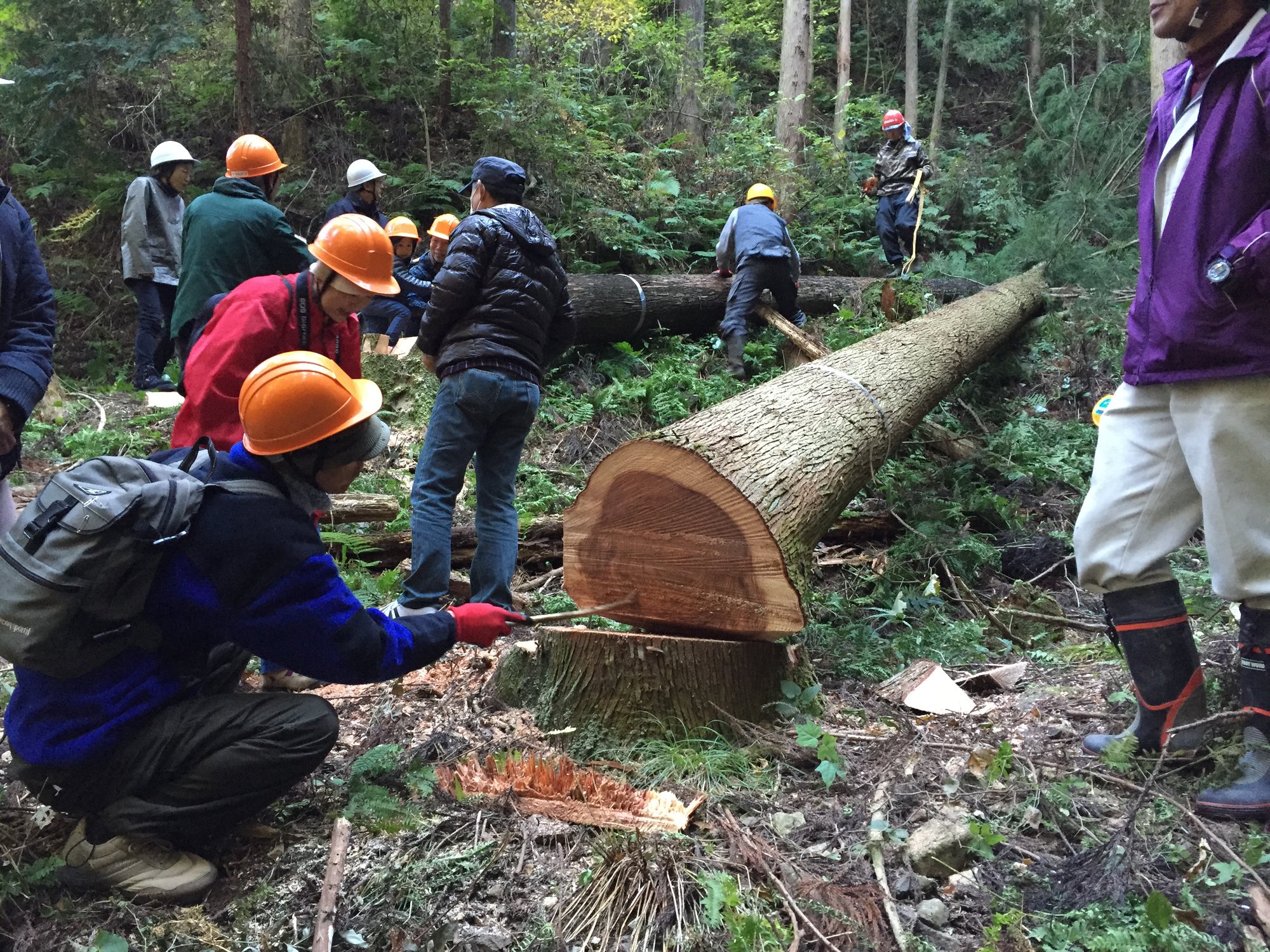 住まいをつくる製造ｴﾈﾙｷﾞー