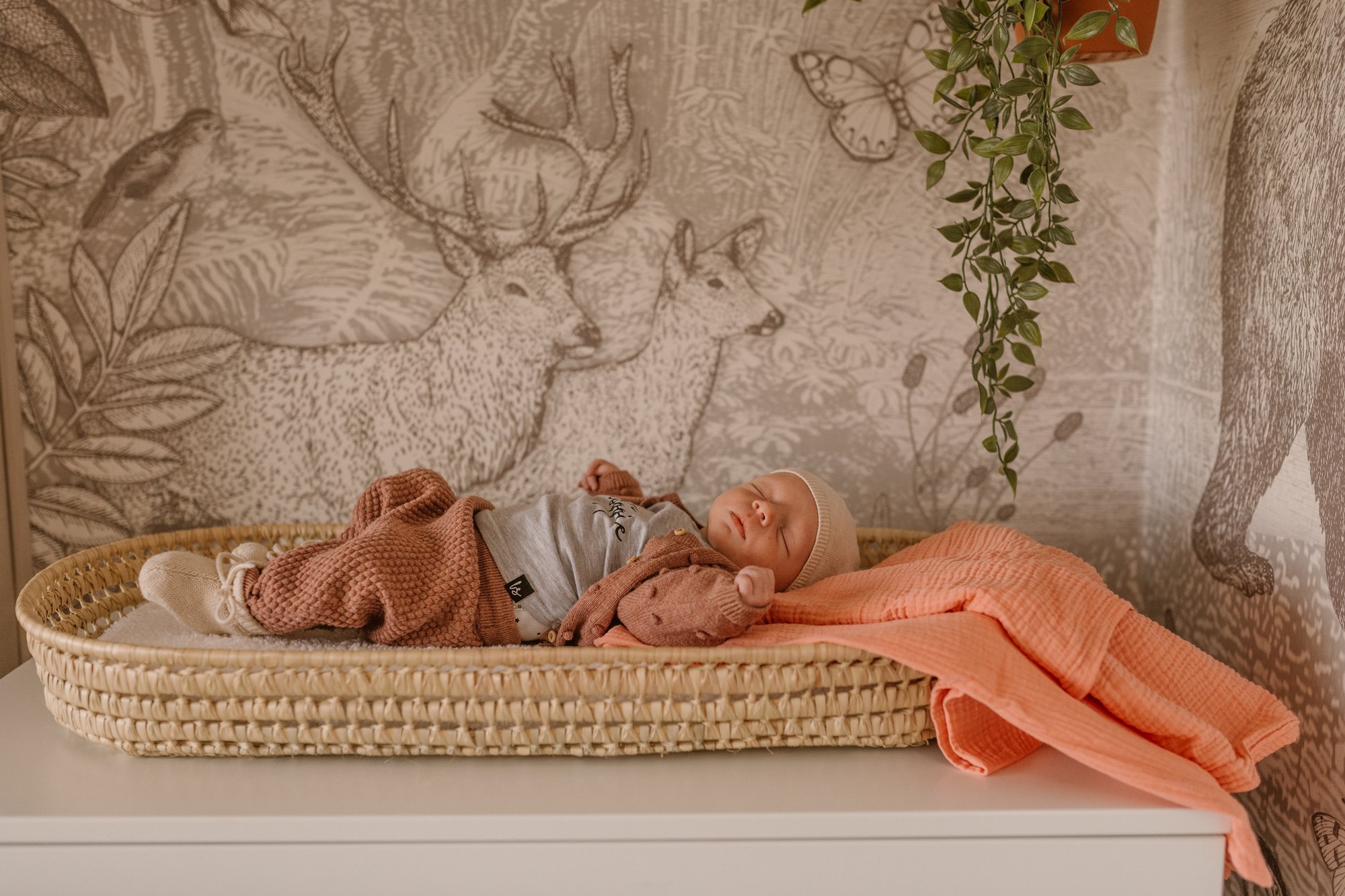 Binnenkijken in bosdieren thema: van baby- naar kinderkamer