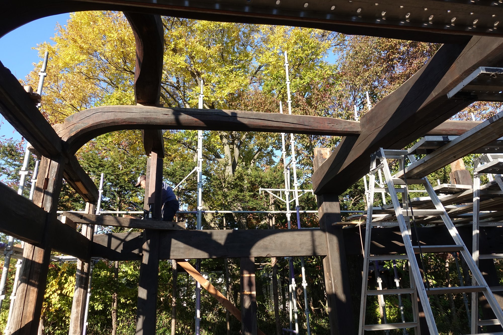 民家古材移築プロジェクト　建て方間近