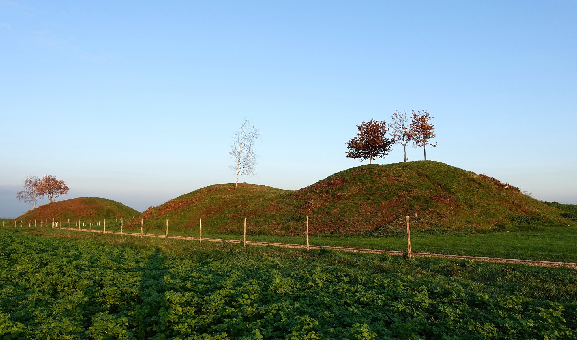 Les Tumuli de Seron (Forville)