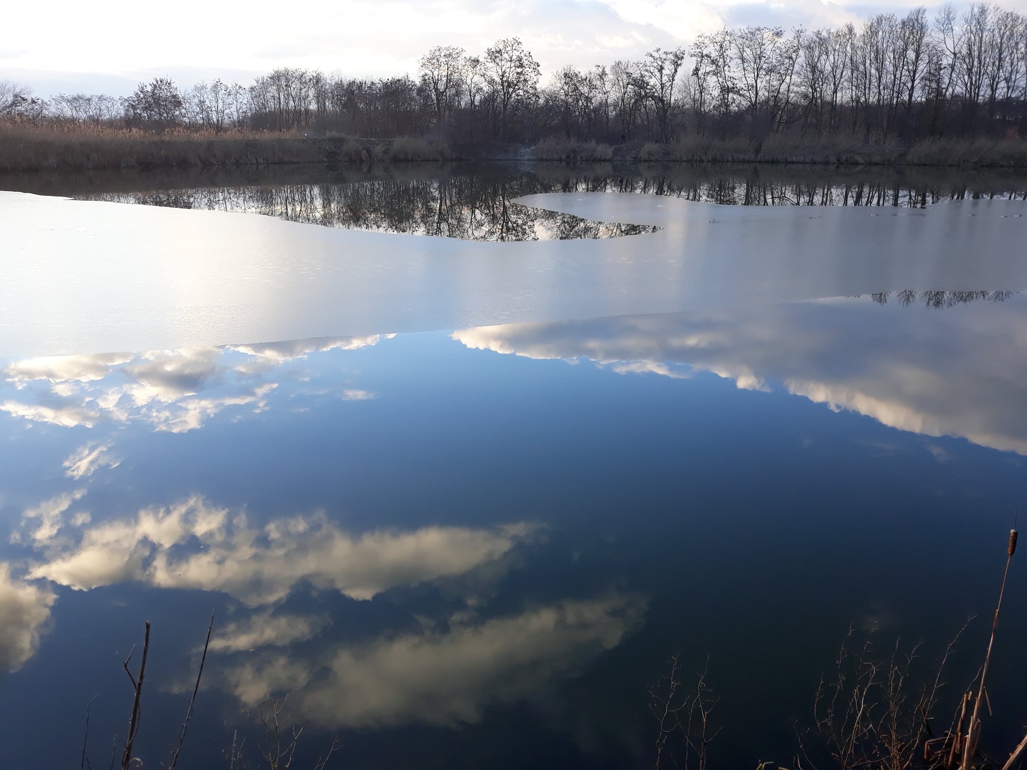Magnifique balade à Hollogne-sur-Geer, le paradis des oiseaux