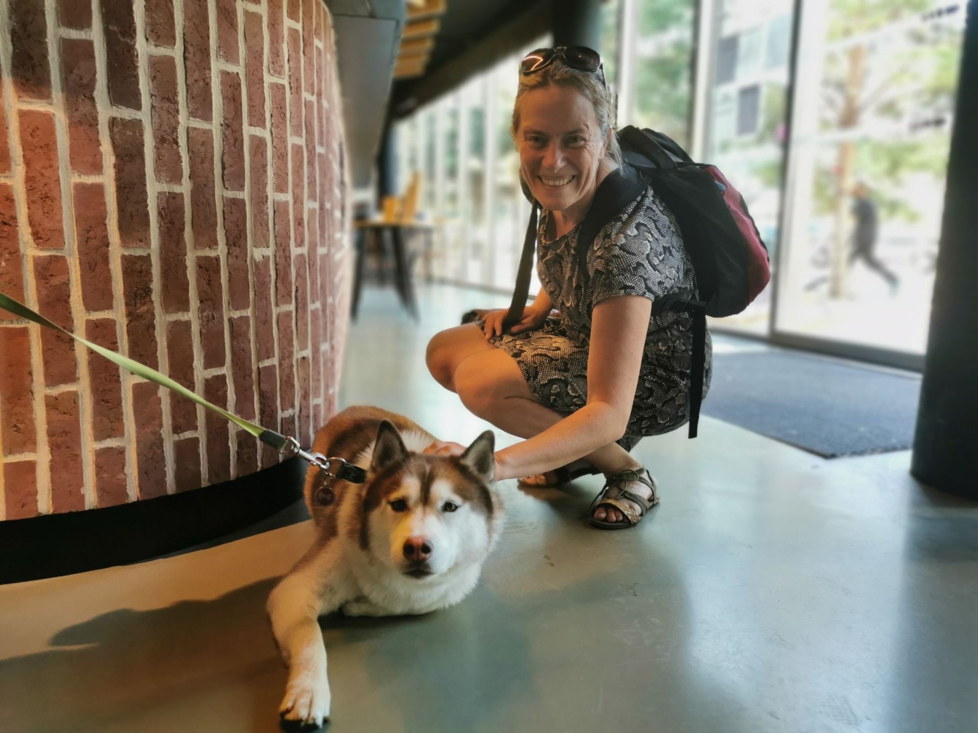 Canitourisme et Félitourisme : La Somme s'impose comme LA destination "Pet-Friendly" (Bilan 2025 & Perspectives)