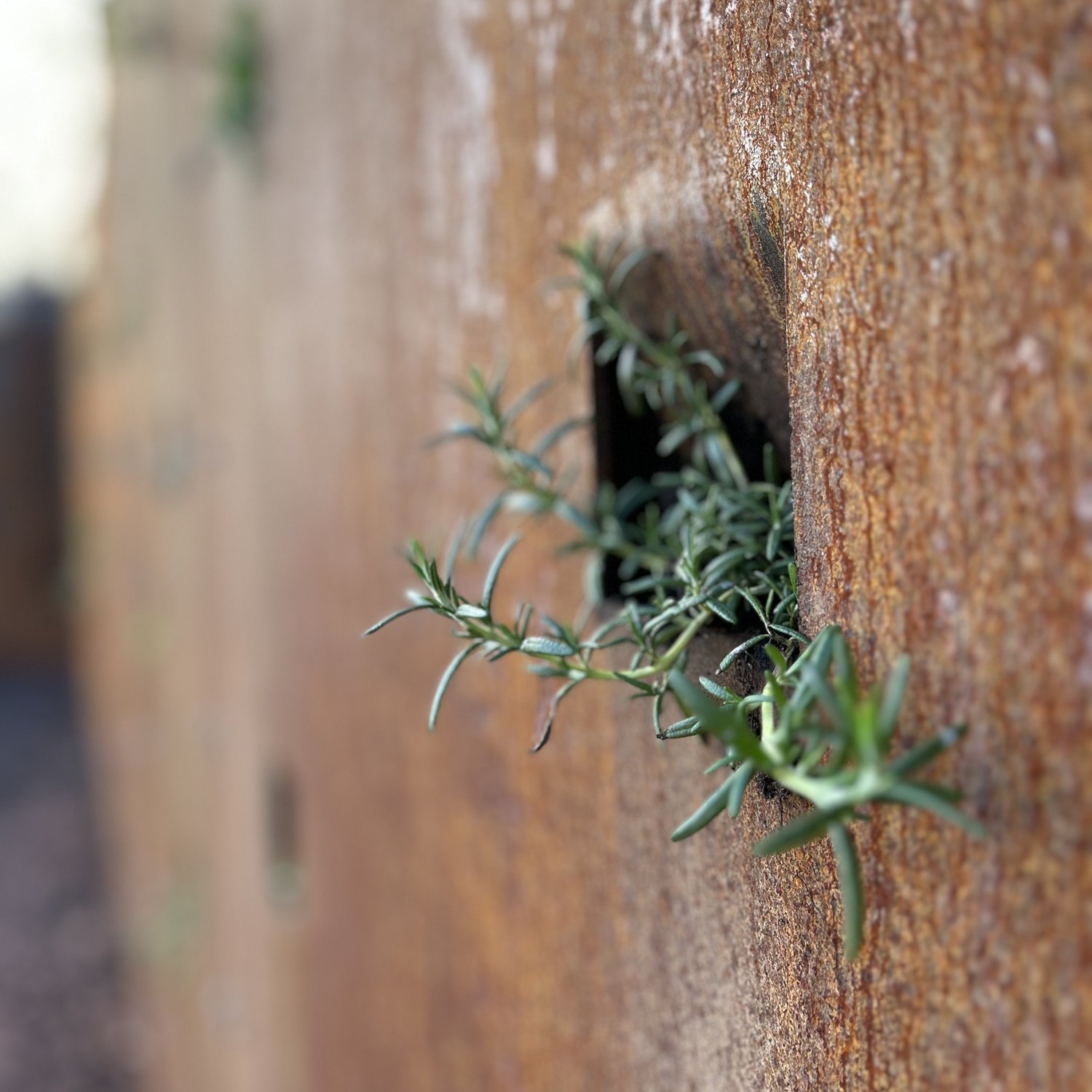 Ruhe und Gelassenheit