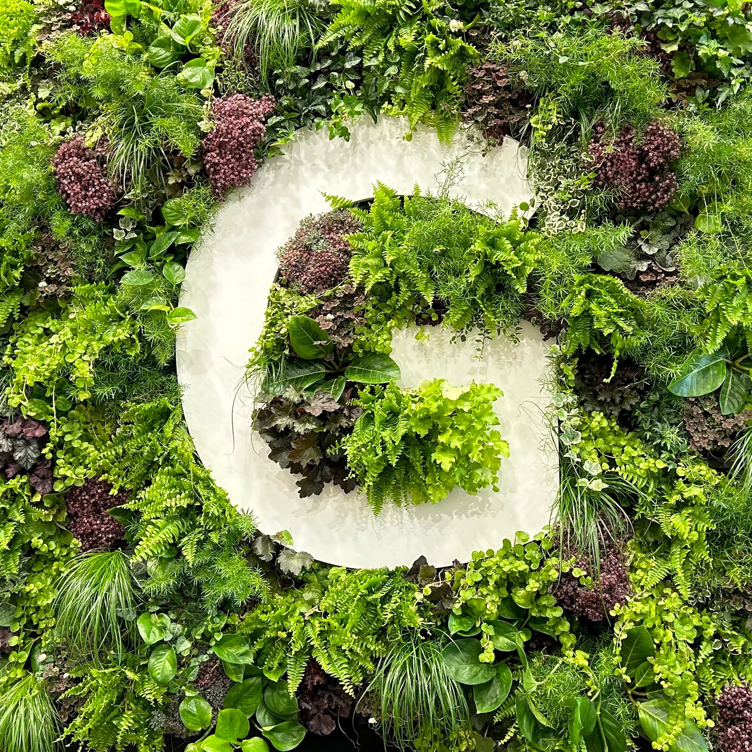 Team-Ausflug zur GaLaBau