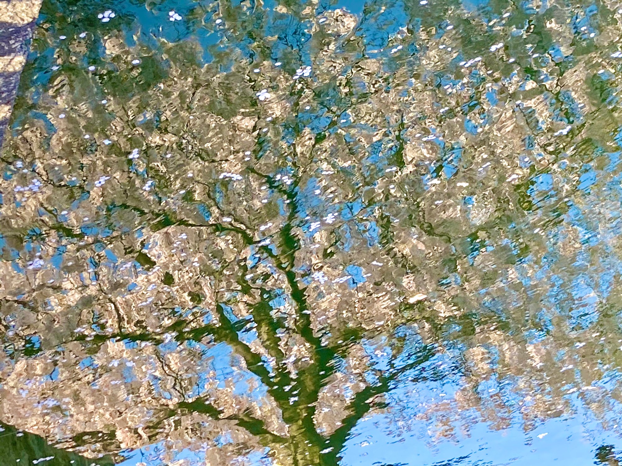 2022年度　2つの助成金にご採択いただきました