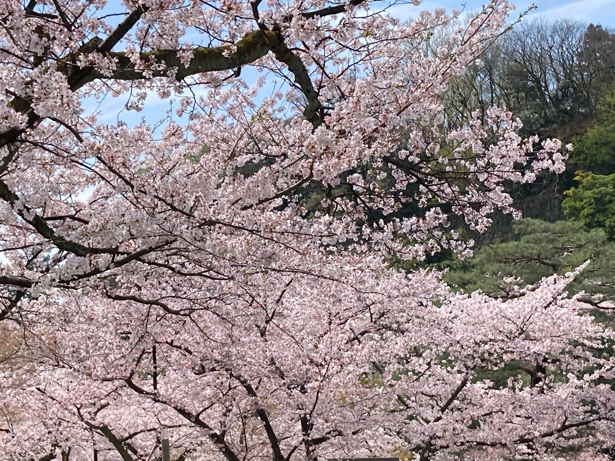 大阪コミュニティ財団様より採択いただきました。