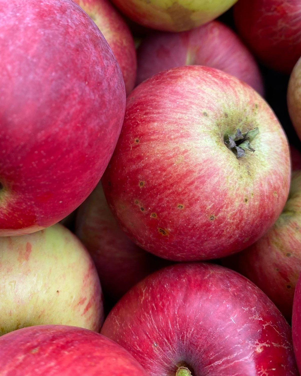 Rituale für Sternenkinder - Oktober