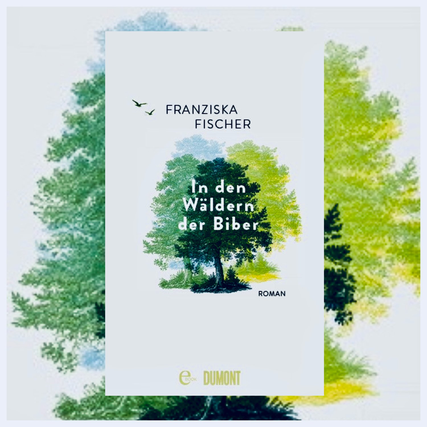 Franziska Fischer: In den Wäldern der Biber