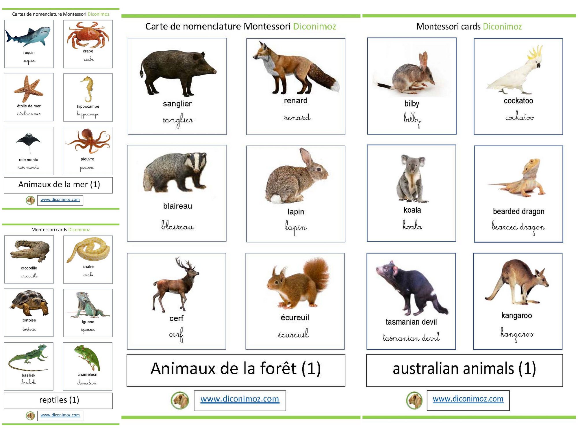 Nouveau : les cartes montessori en français et en anglais
