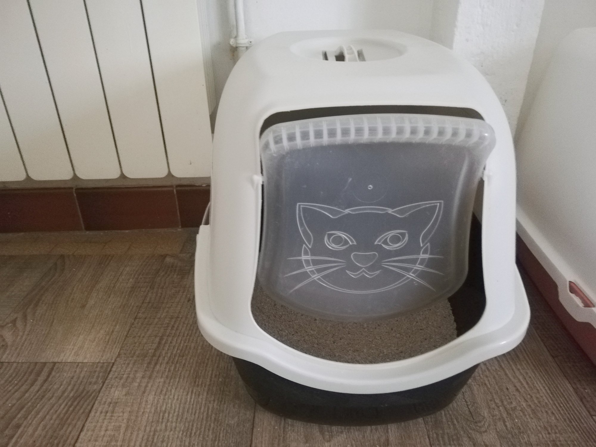 Guide pour choisir la meilleure litière pour votre chat : comparaison, avantages et inconvénients de chaque litière