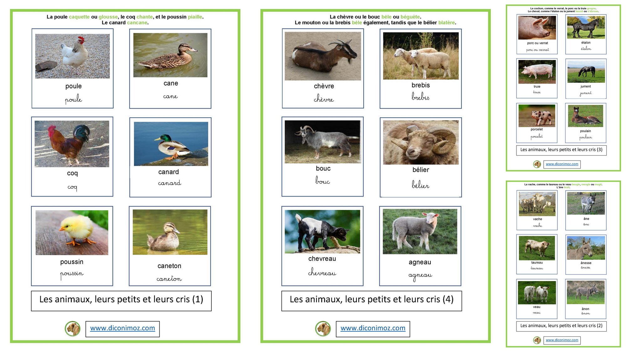 Les animaux, leurs petits et leurs cris !