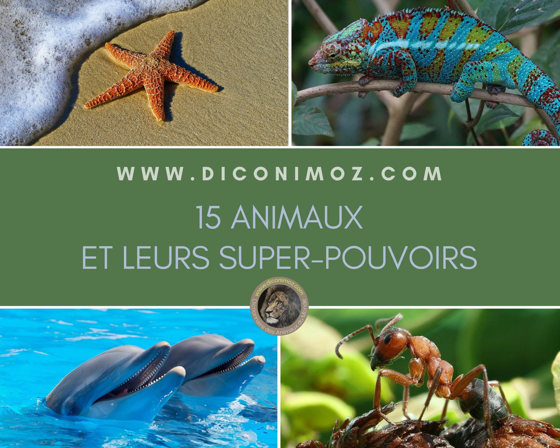 15 animaux et leurs superpouvoirs