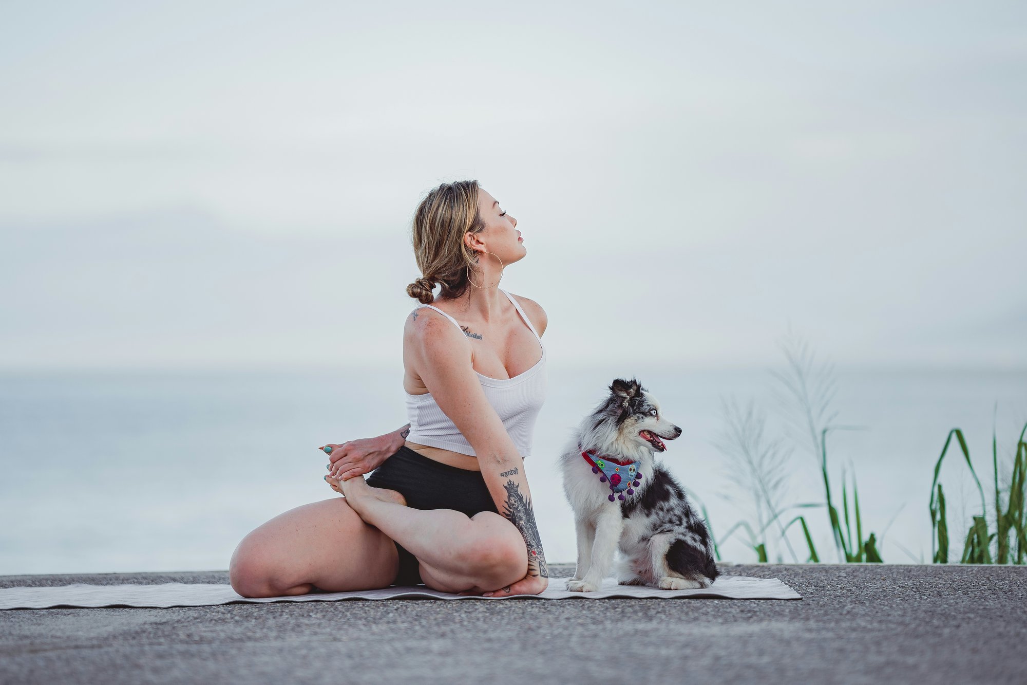 Le doga ou dog yoga : ou comment faire du yoga avec votre chien ?