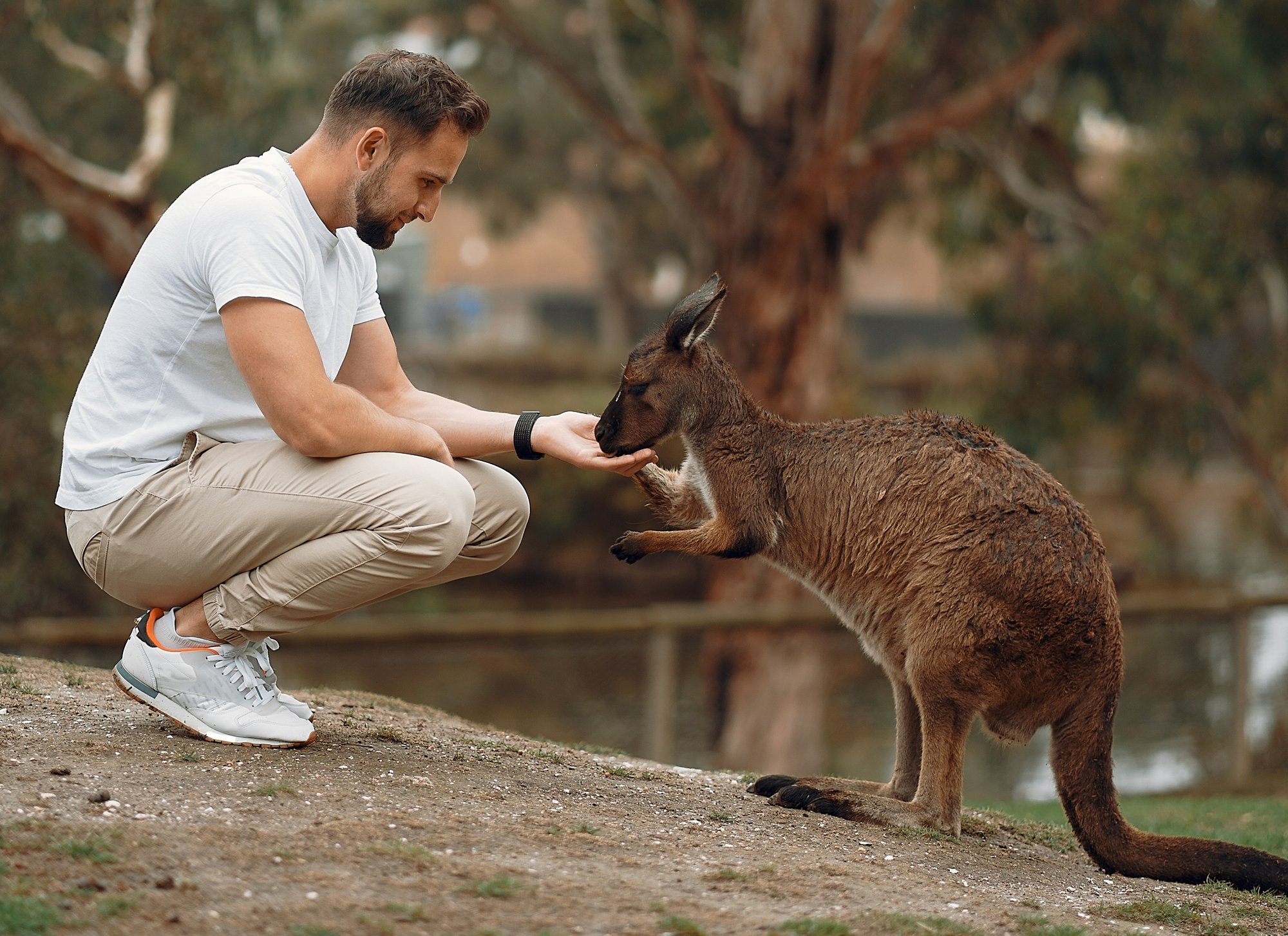 Le métier de soigneur animalier : un rêve accessible ?