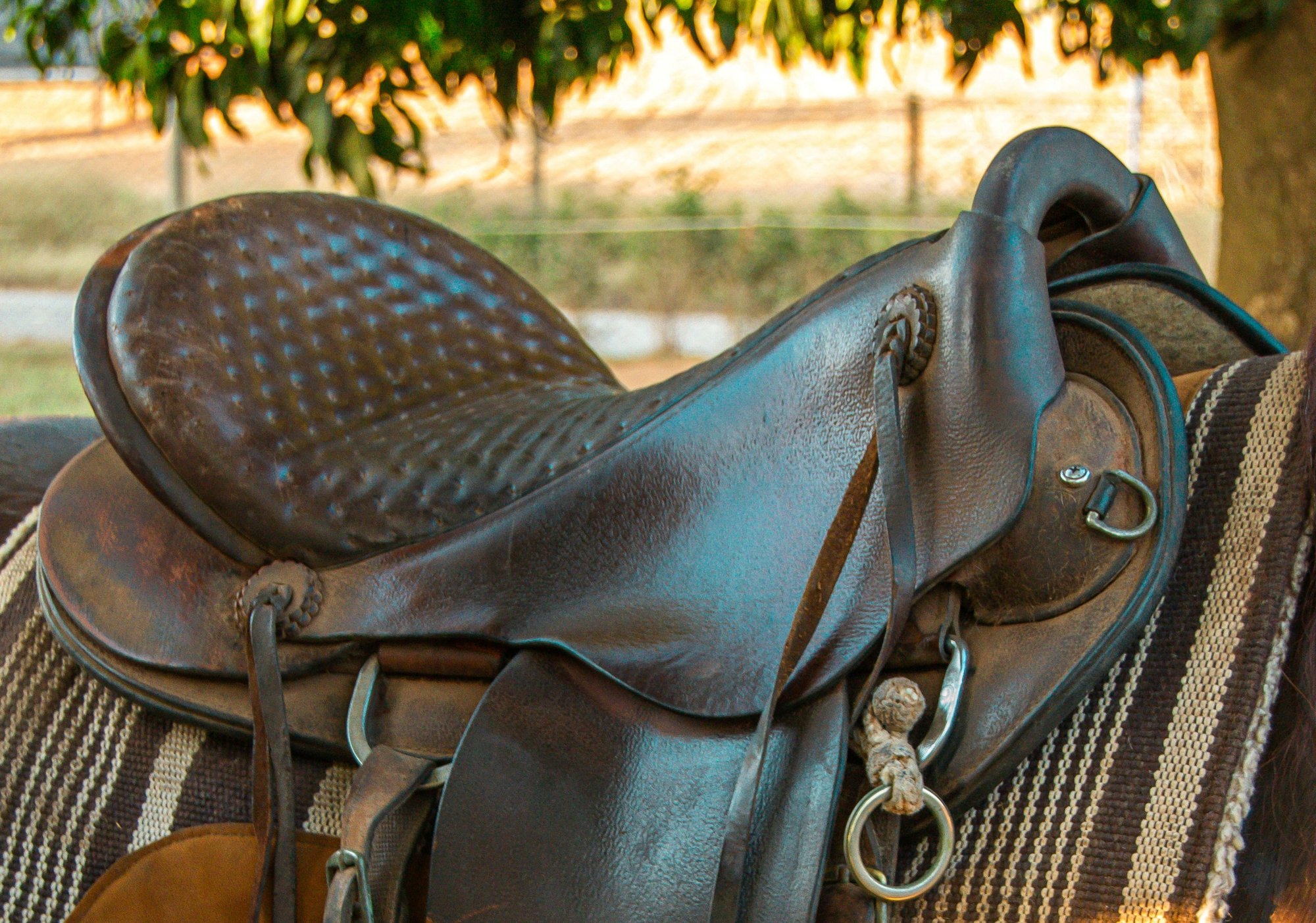 Guide pratique : comment bien choisir la selle pour mon cheval ?