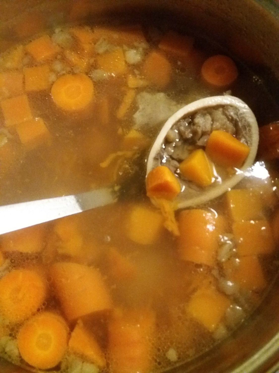 Opkikkertje voor honden