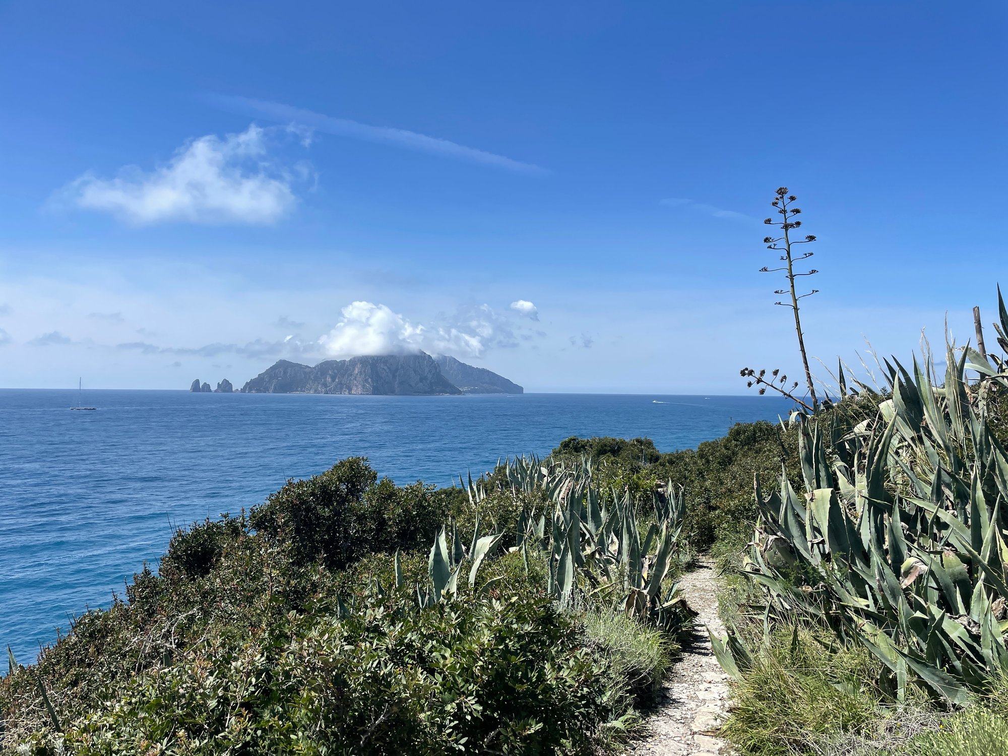 Tag 11, Peninsula Sorrentina, Küstenwanderung am Punta Campanella