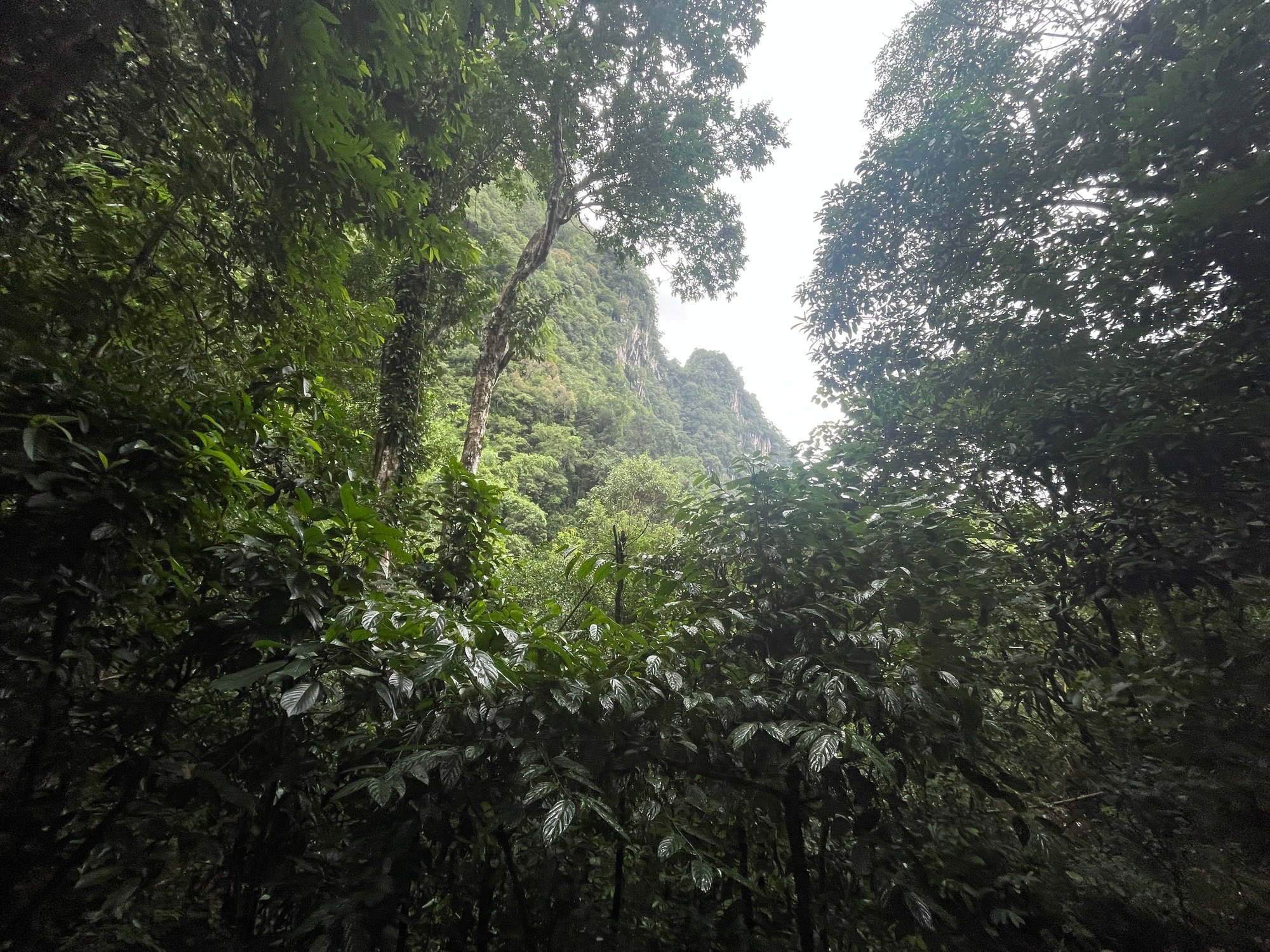 Südwärts zum Khao Sok Nationalpark
