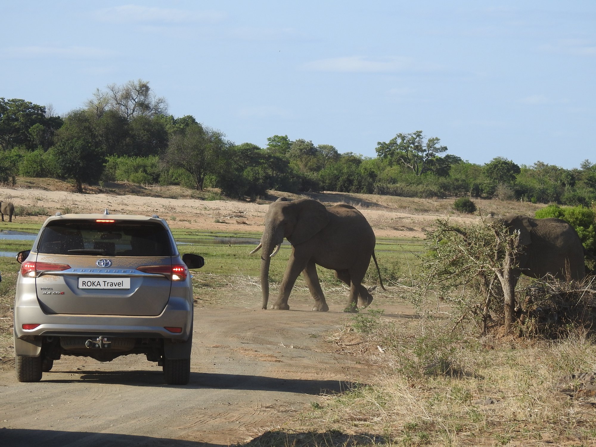 Road Trip Kruger Nationalpark - Auswahl Mietwagen