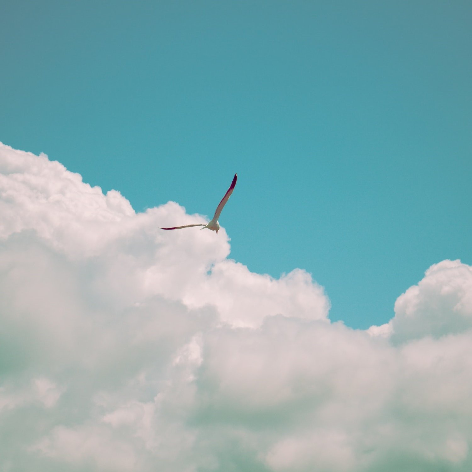 Your 4 Most Effective Stress Busting Techniques