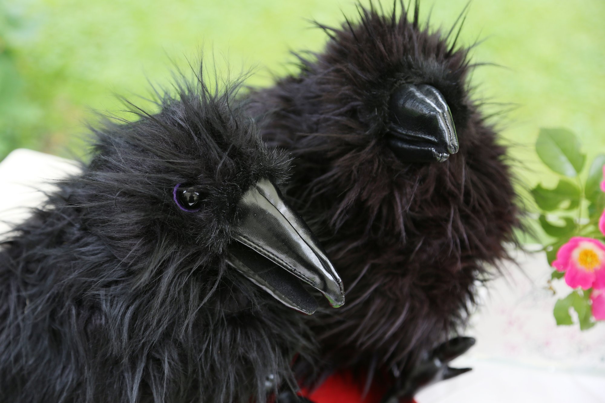 Die sieben Raben (Sammlung Gebrüder Grimm)