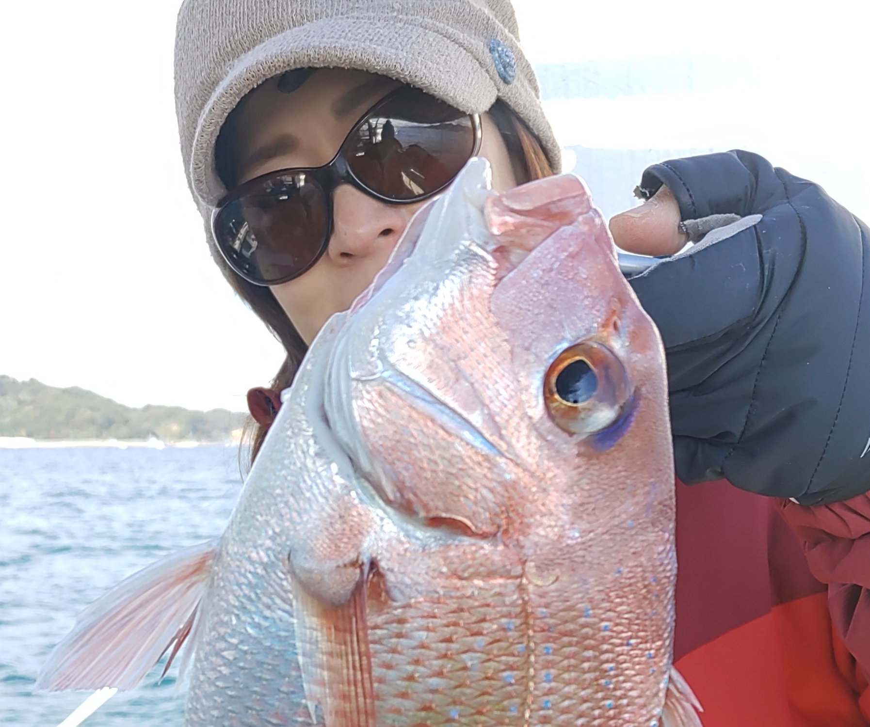 12月1日　鯛 青物＆カワハギ　釣果