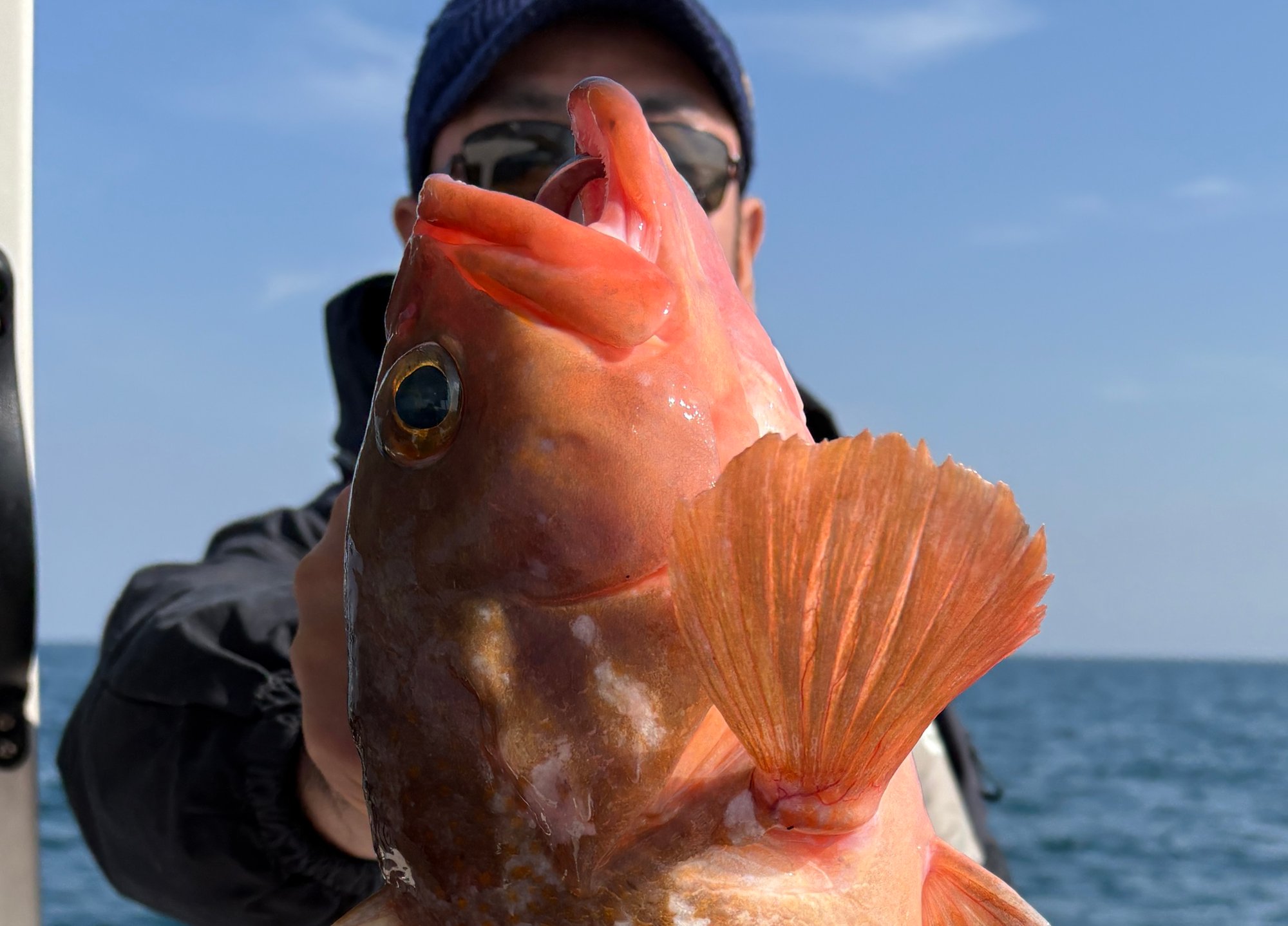 1月16日　タイラバ　釣果
