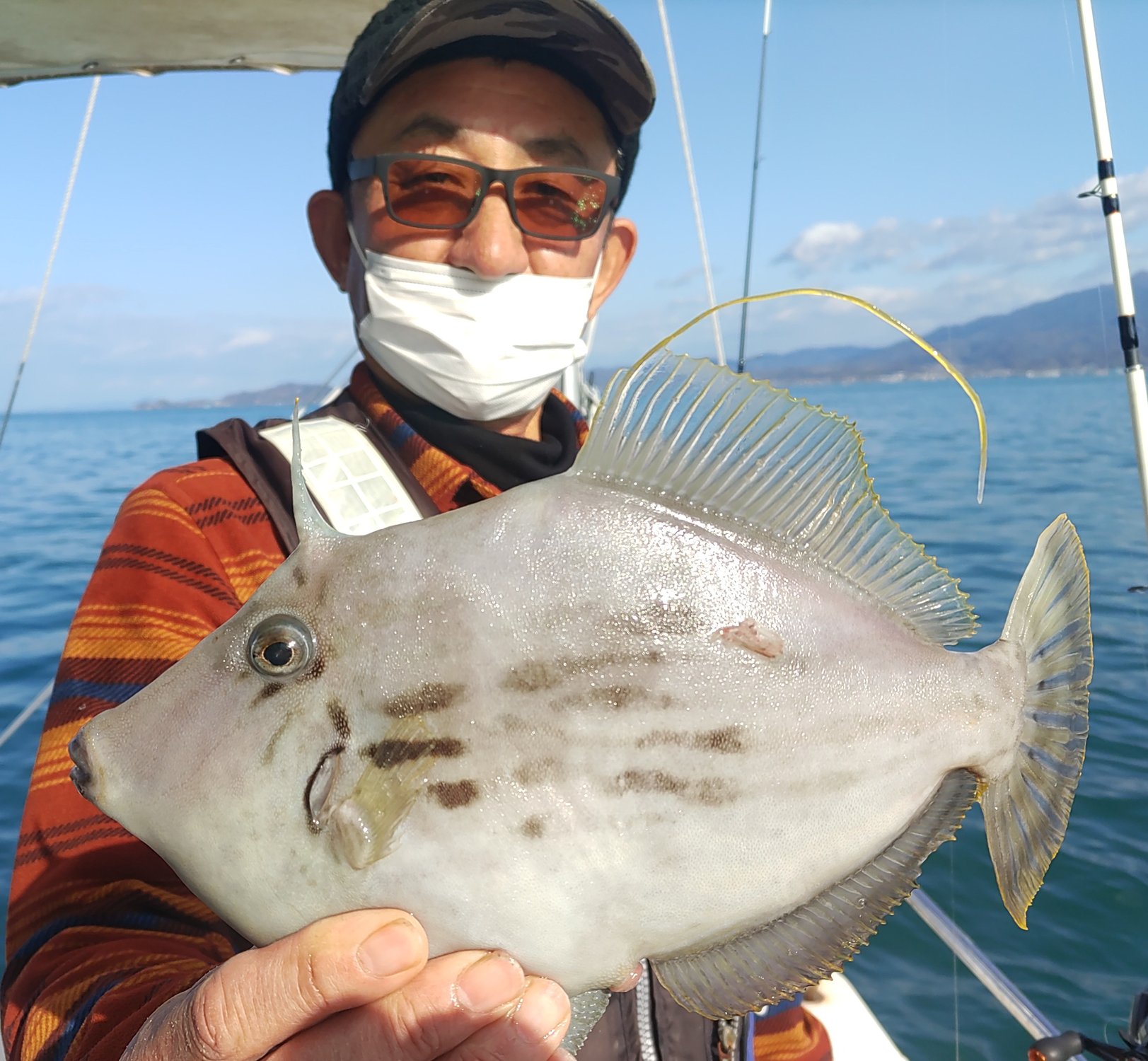 12月26日　タイラバ＆カワハギ　釣果