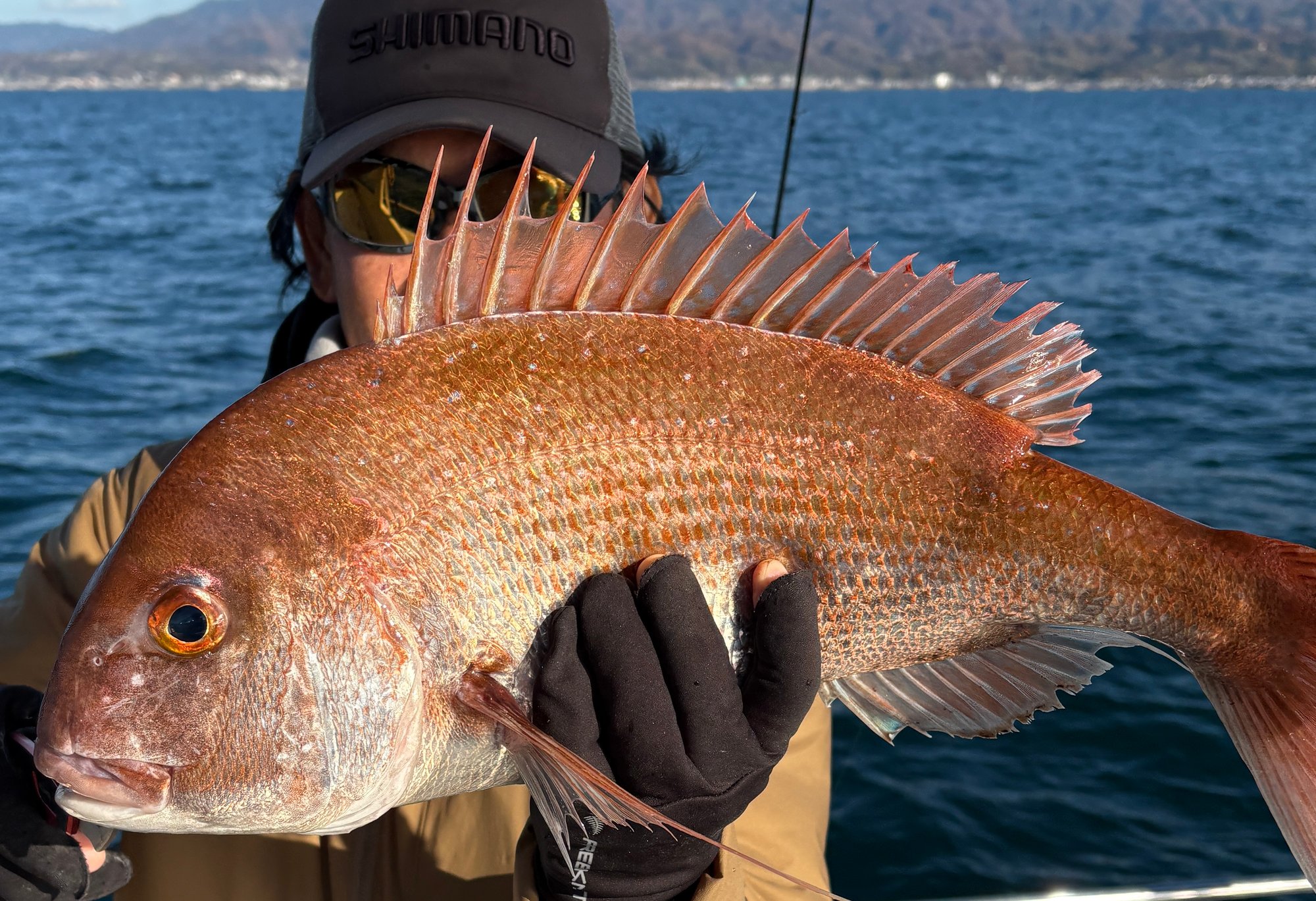 12月18日　タイラバ　釣果