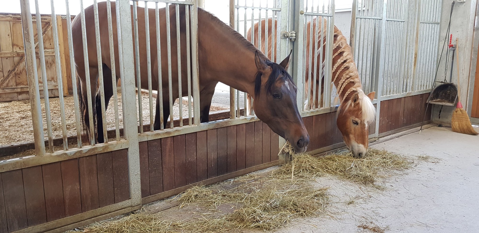 freie Plätze in Offenstall