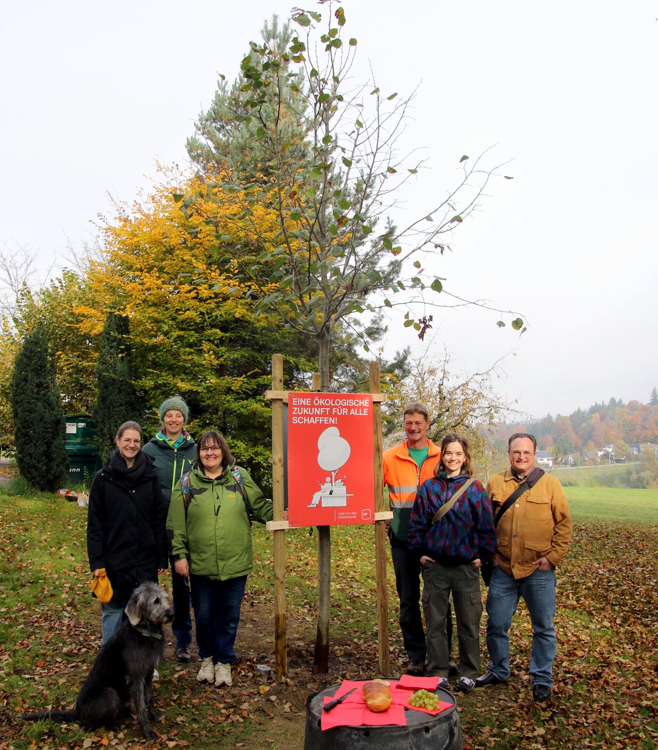 Die Sommerlinde der SP wächst jetzt auf dem Heitern