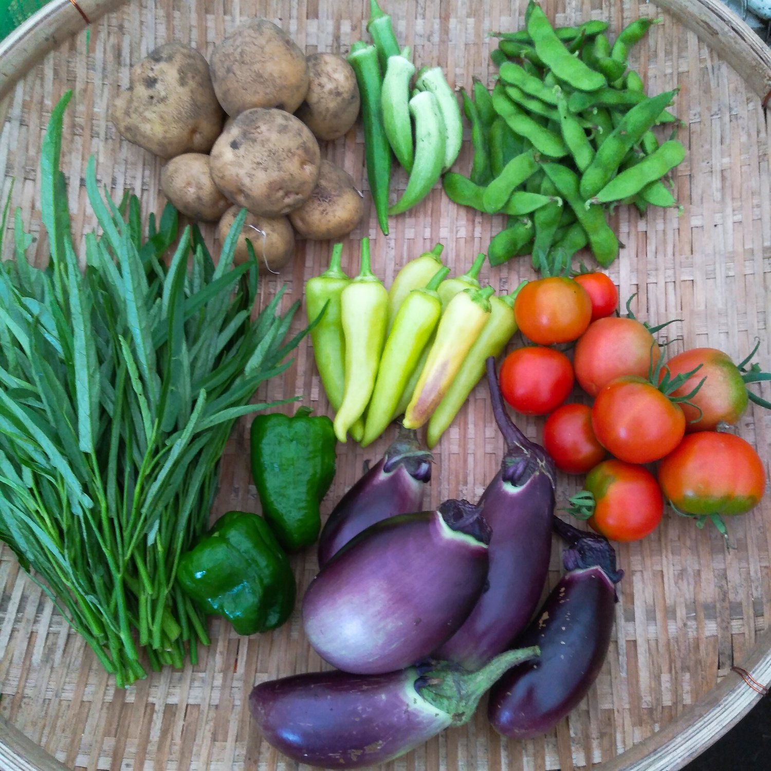 彩りがでてきました