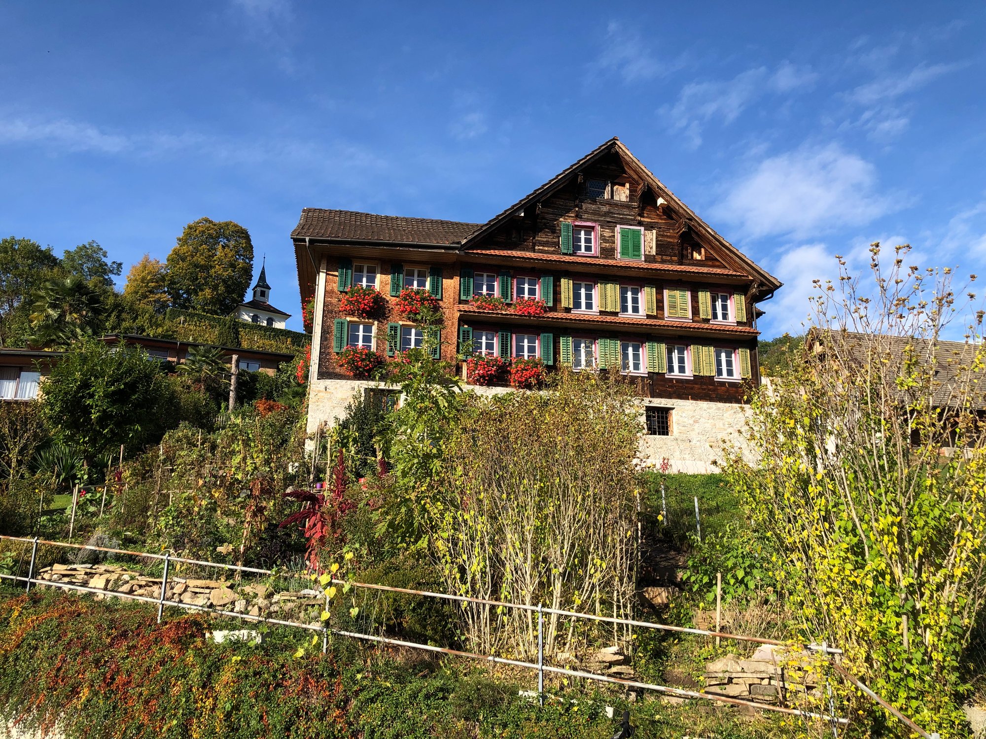 Ein lohnenswerter Matchbesuch