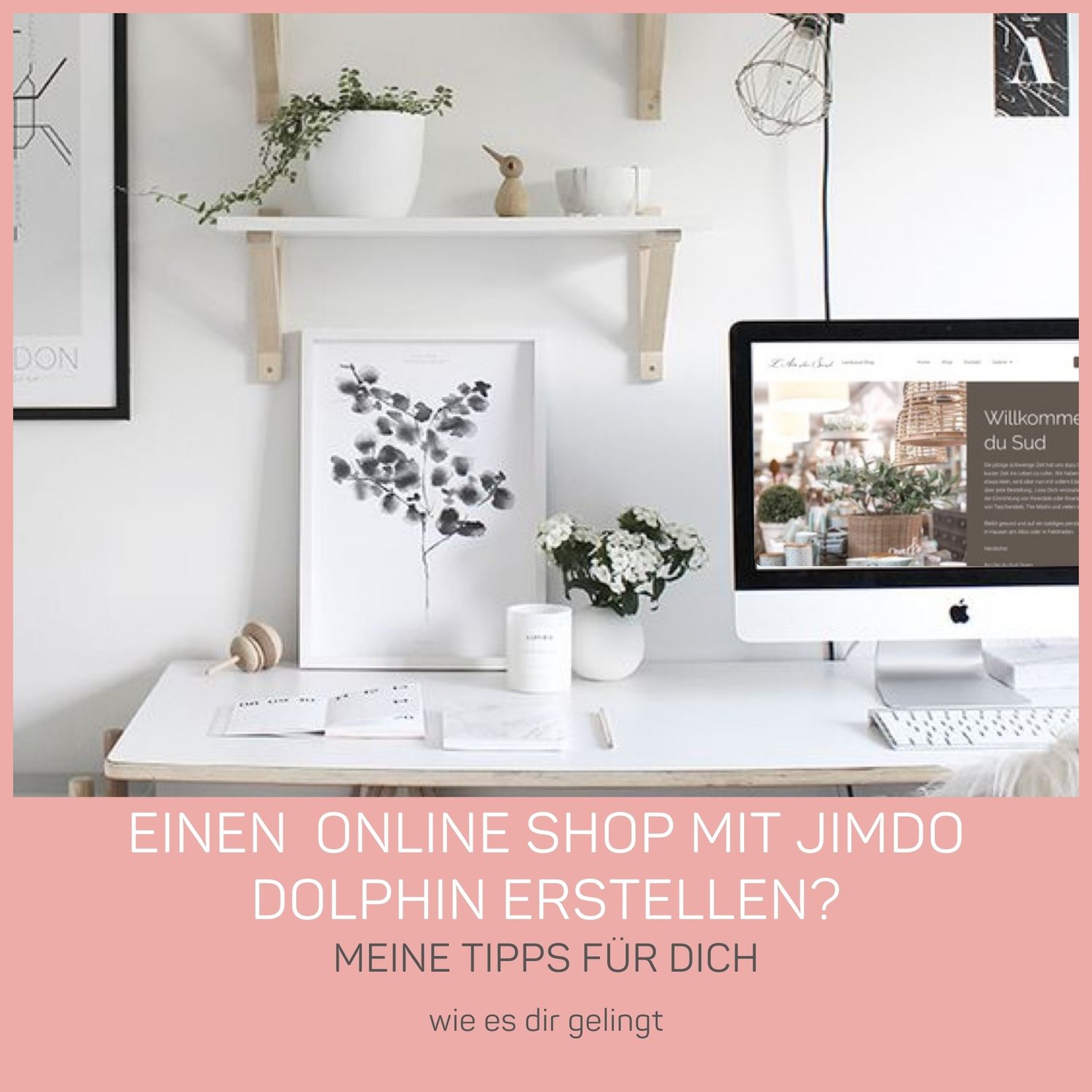 Tipps für deinen Onlineshop mit Jimdo Dolphin