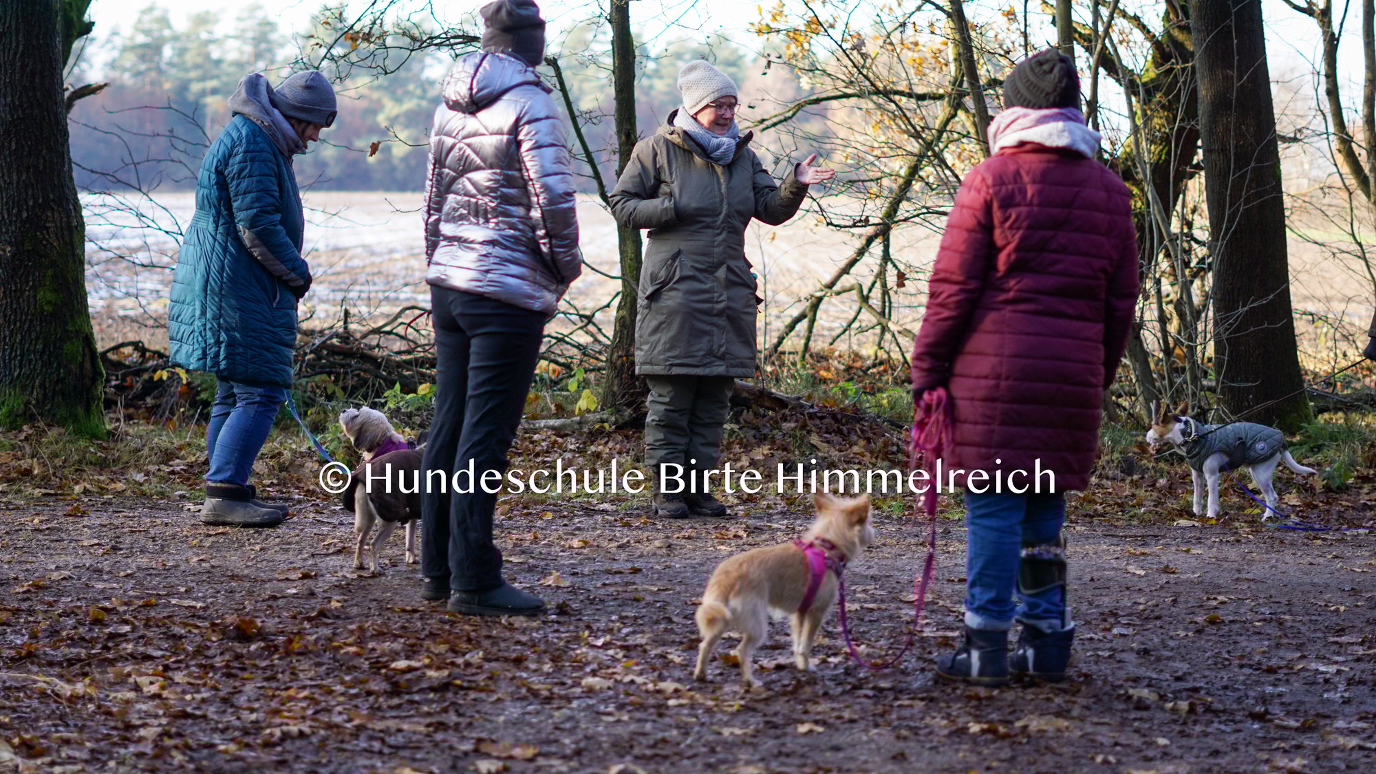 Hundetraining - Unsere Kamera war wieder dabei!