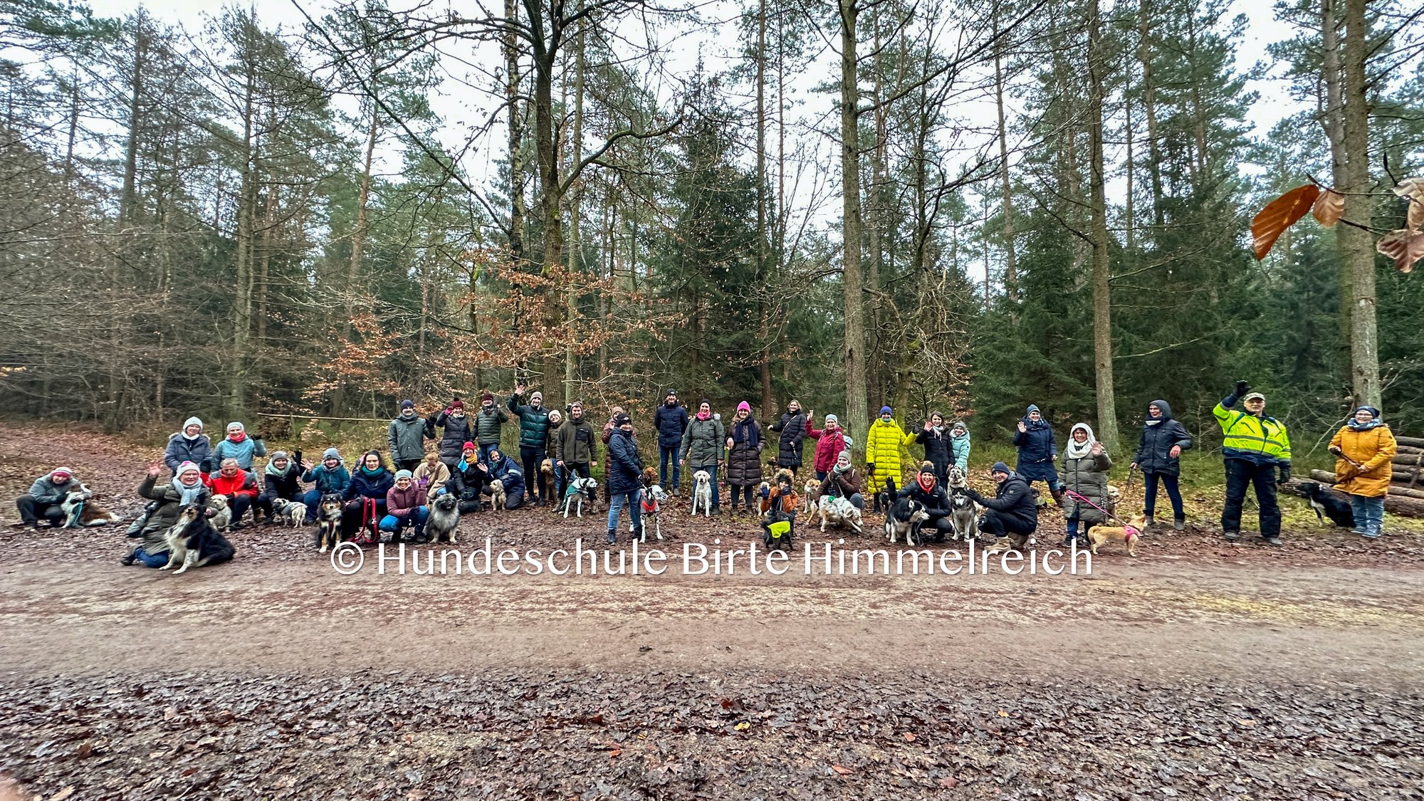 Weihnachts-Hundewanderung durch die Lüneburger Heide