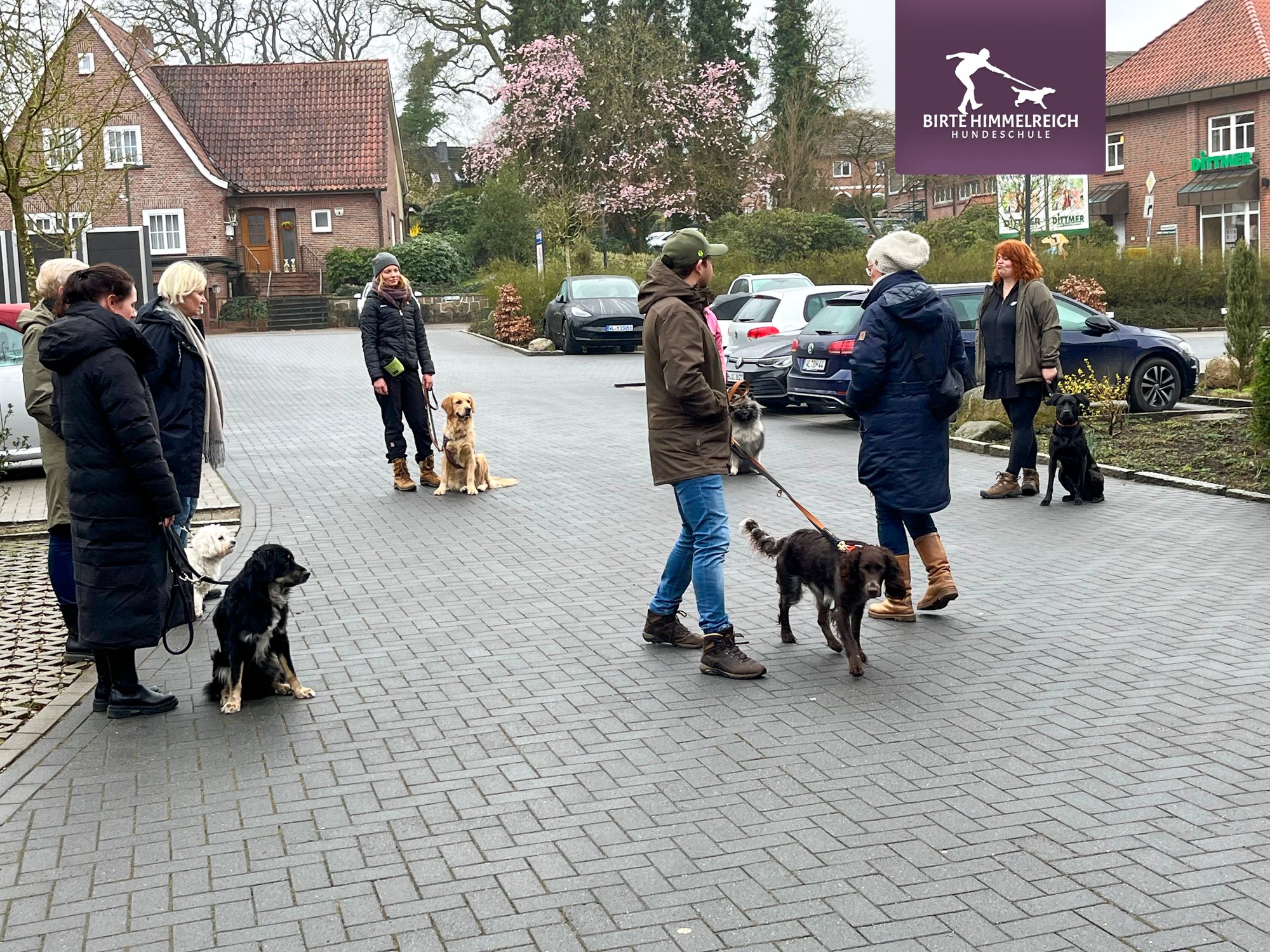 Gemeinsames Hundetraining mitten im Herzen von Hanstedt!