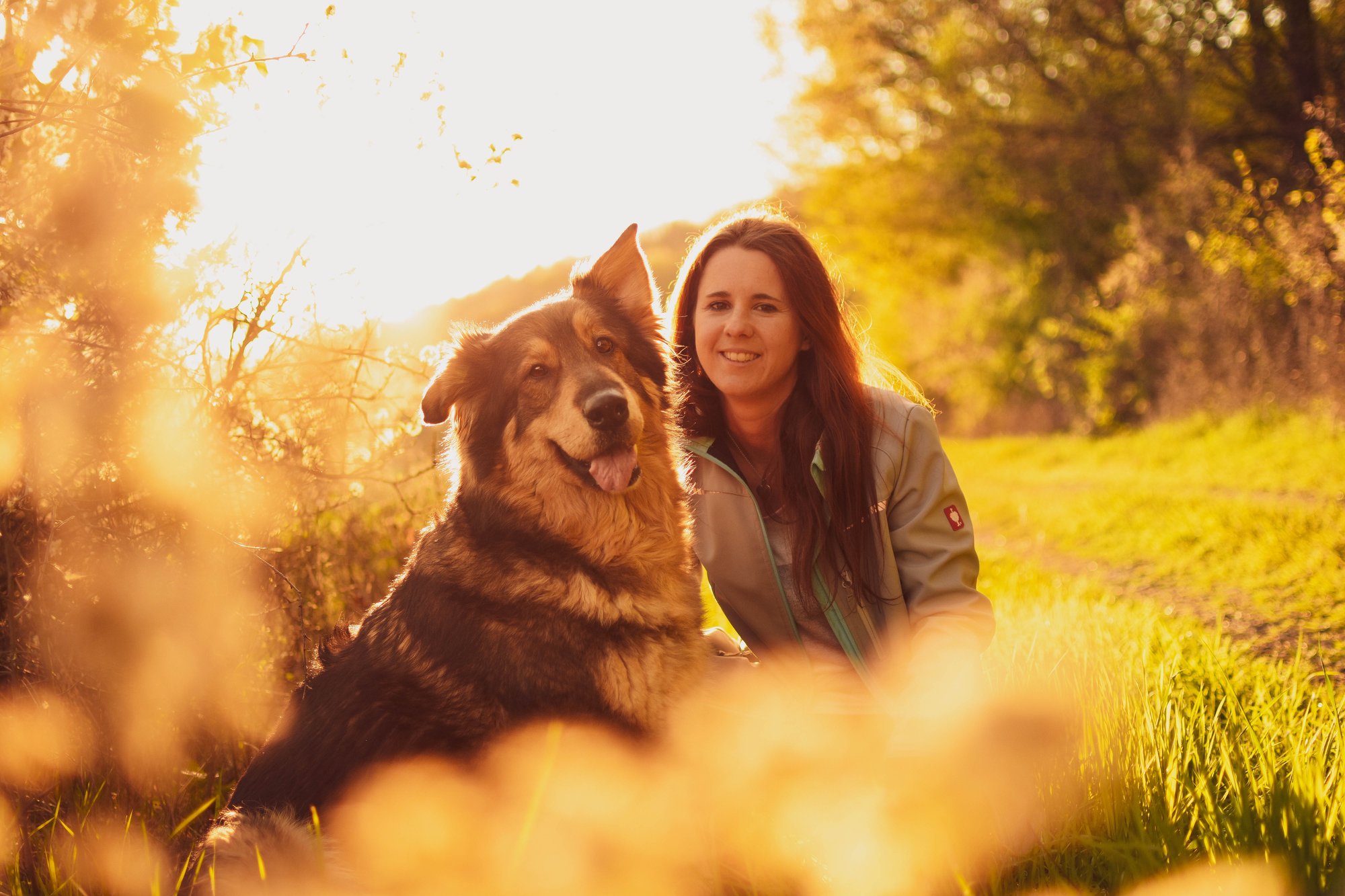 Das Leben mit einem alten Hund - die schönste Zeit mit neuen Herausforderungen