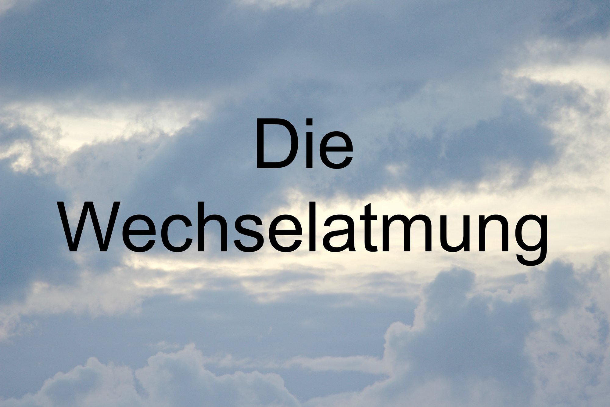 Die Wechselatmung