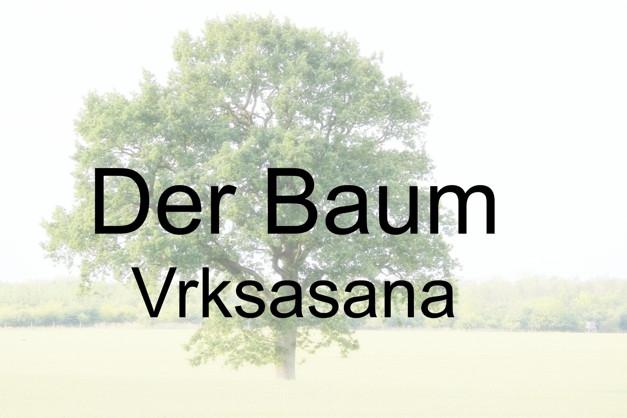 Der Baum - Fokussiert und konzentriert