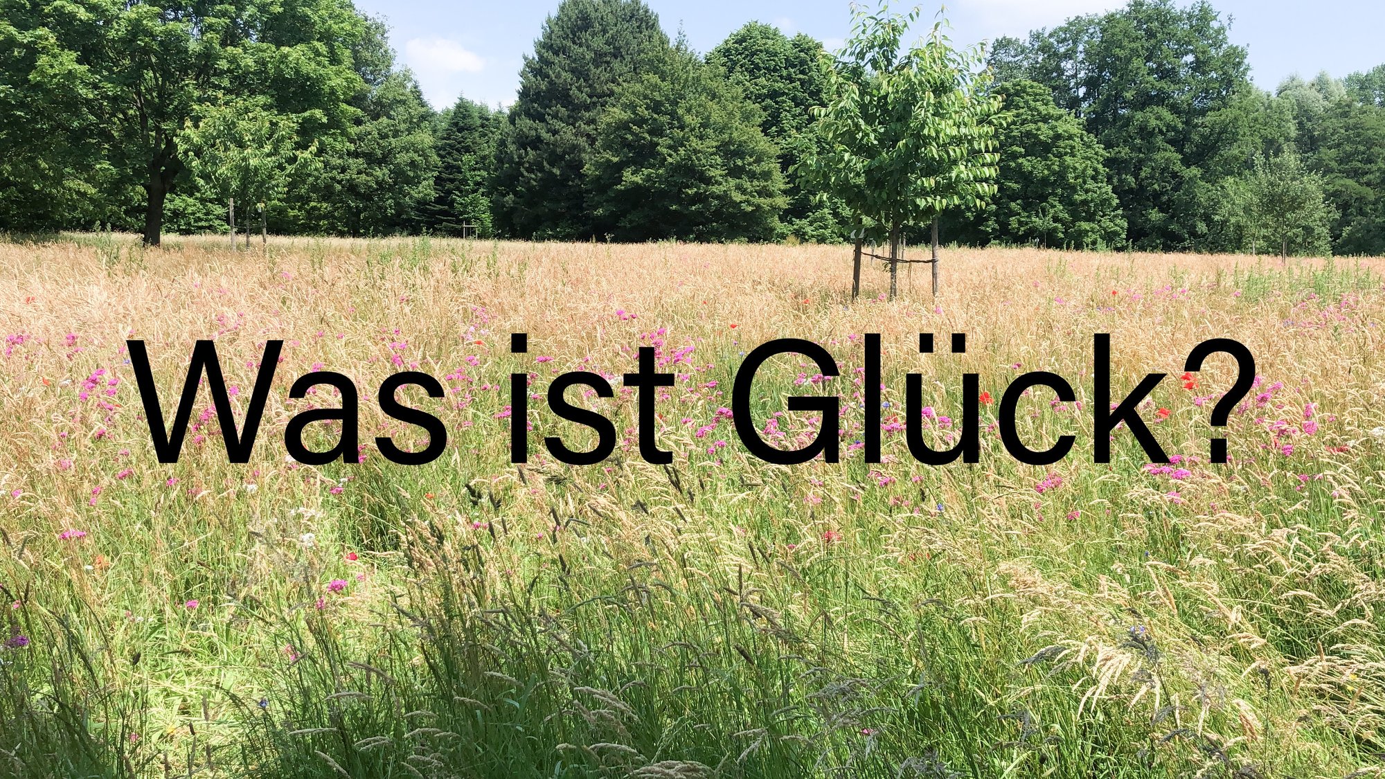 Was ist Glück?
