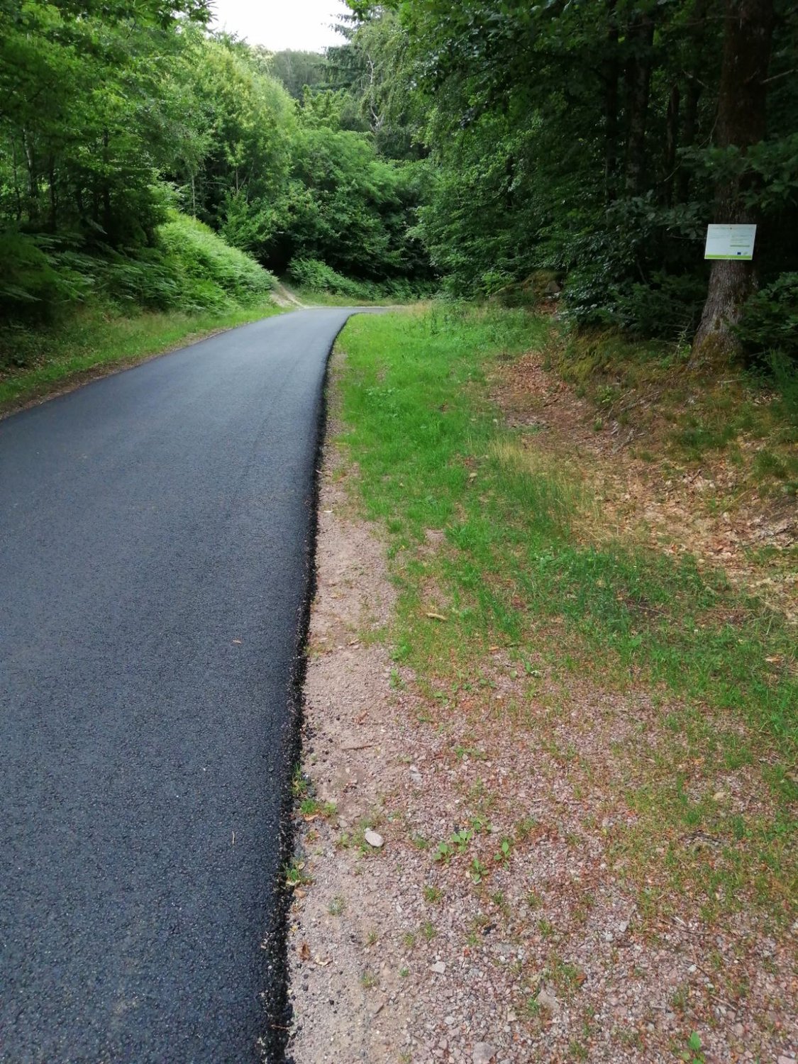 Les travaux relatifs aux routes stratégiques du bois sont achevés