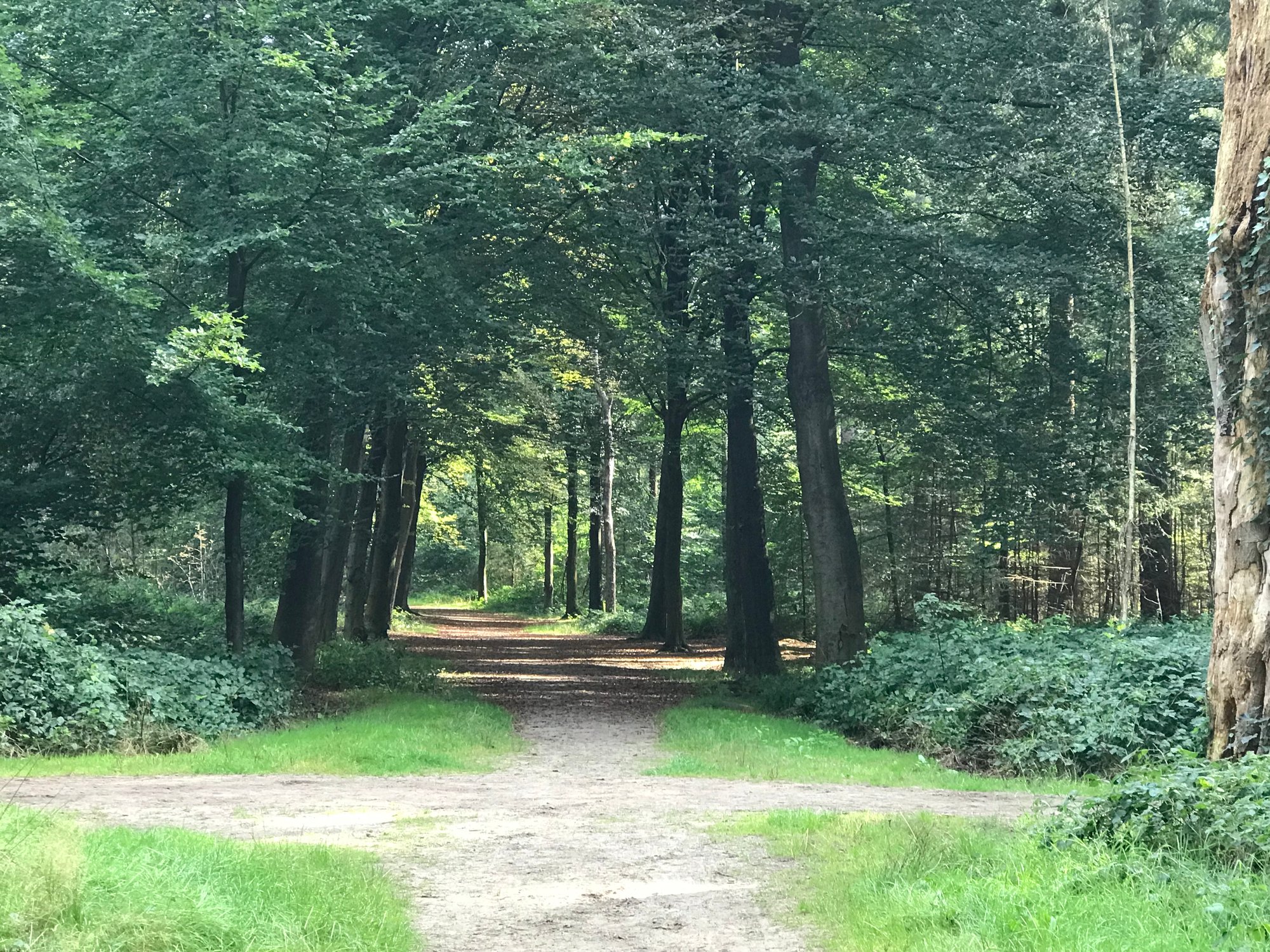Binnenste Buiten Week - terug naar jouw natuur