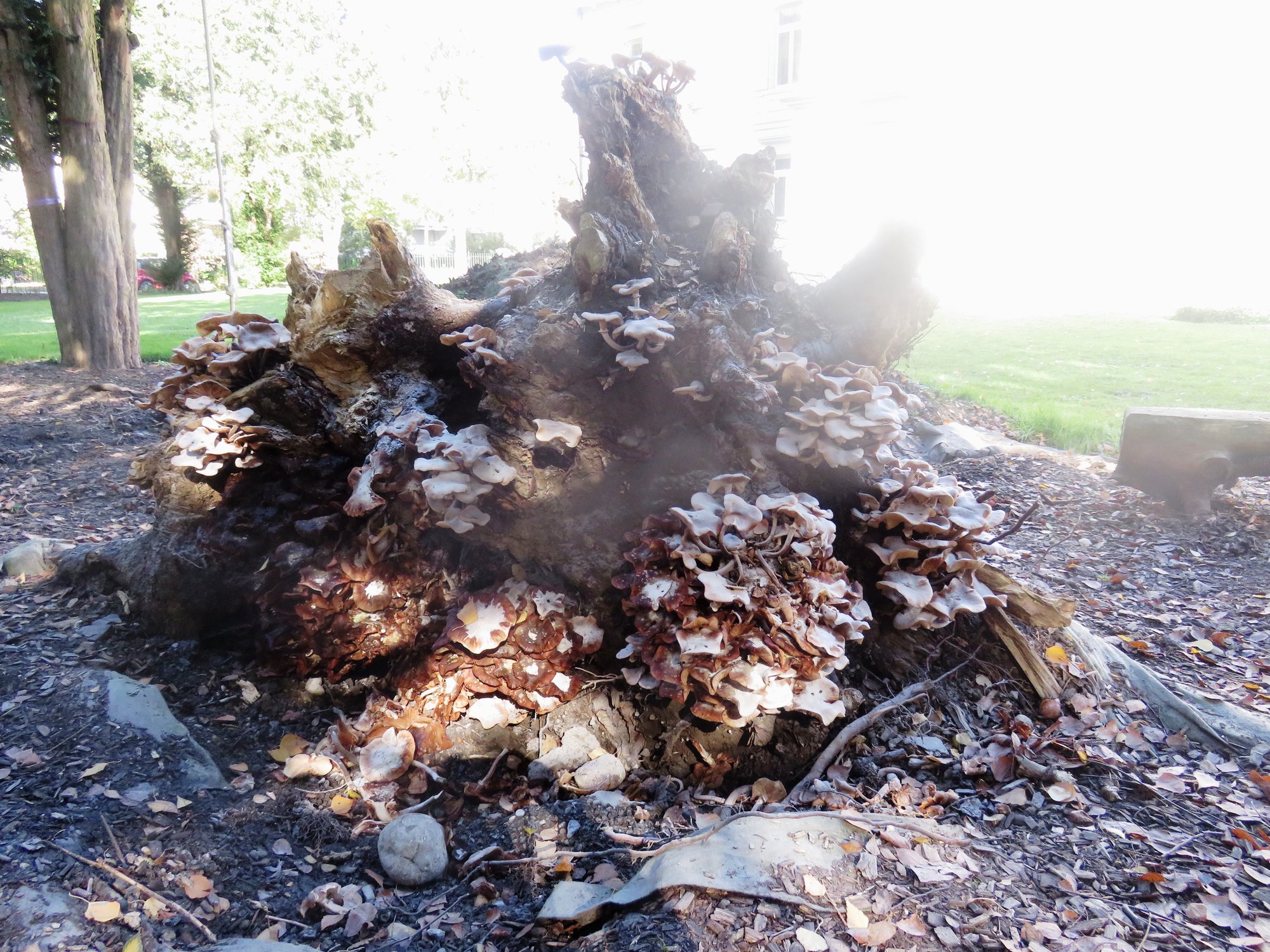 Selbstsorge ganz praktisch